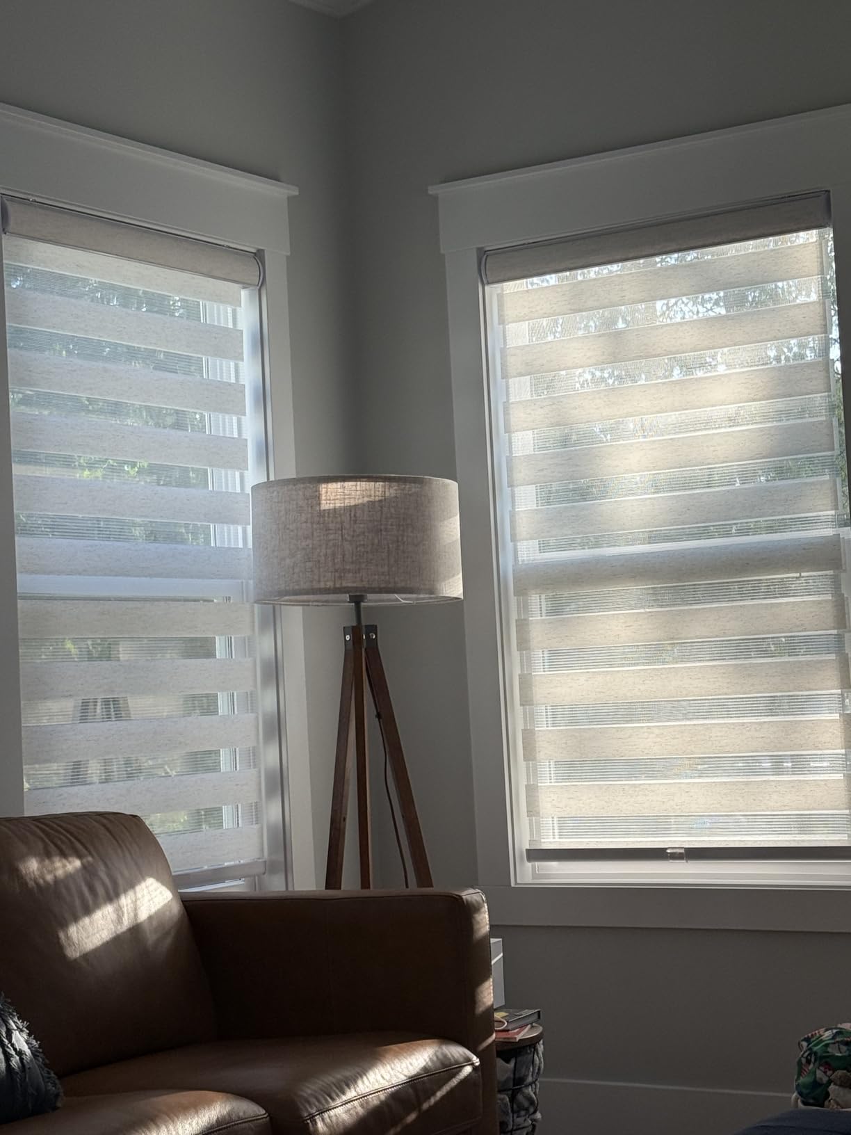 CHICOLOGY Zebra Blinds Cordless, Light Filtering, White Shade, 35W x 72H | Dual Layer Zebra Shade, Light Filtering for Windows, Cordless Child Safe, Inside Outside Mount, Bedroom Living Room customer photo 1