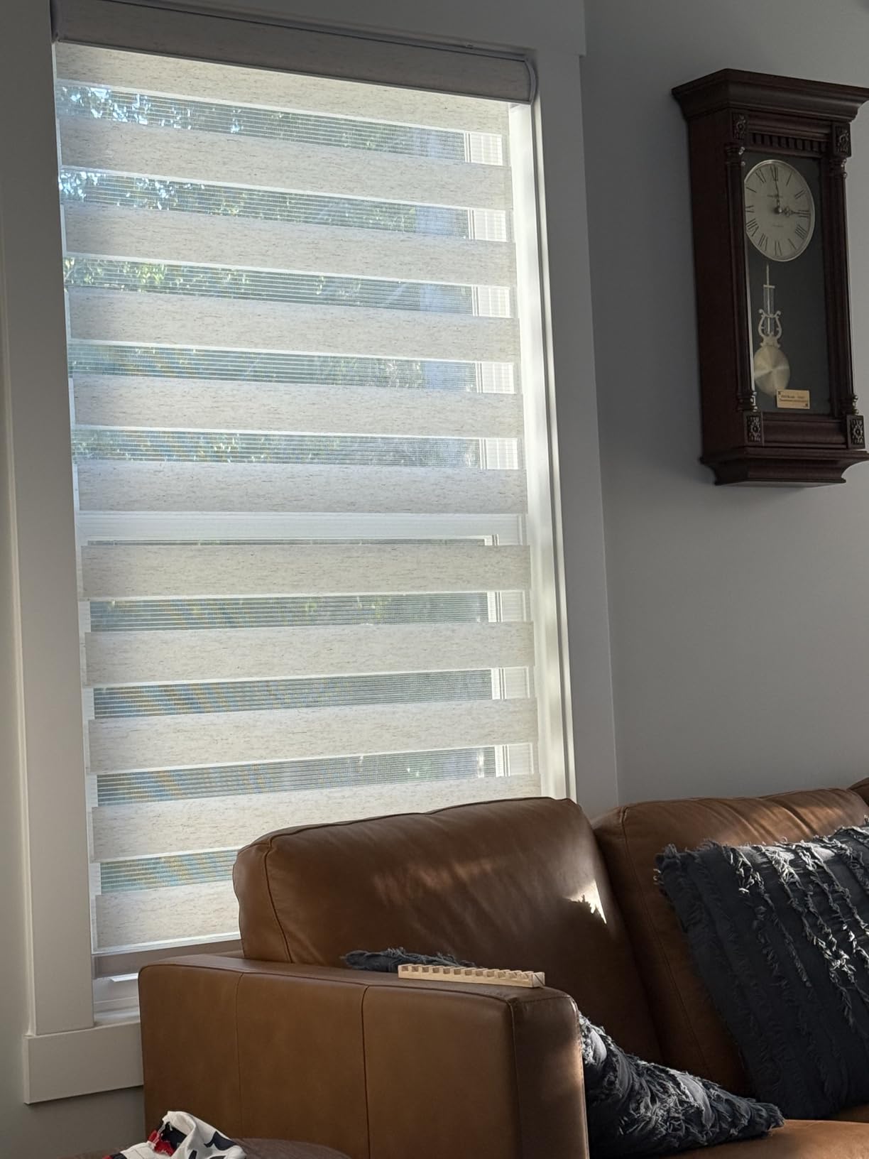 CHICOLOGY Zebra Blinds Cordless, Light Filtering, White Shade, 35W x 72H | Dual Layer Zebra Shade, Light Filtering for Windows, Cordless Child Safe, Inside Outside Mount, Bedroom Living Room customer photo 2
