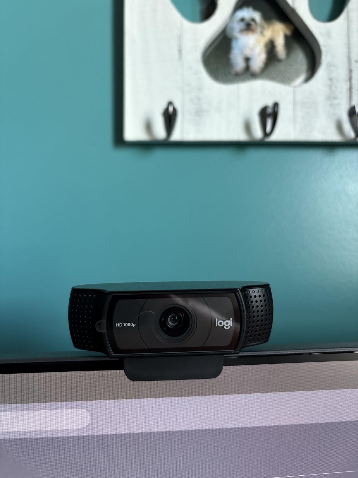 Logitech C920x HD Pro PC Webcam Full 1080p/30fps Video - Black | 30fps Video, Clear Audio, Light Correction, Works with Teams, Meet, Zoom, Nintendo Switch 2, Mac, Tablet customer photo 2