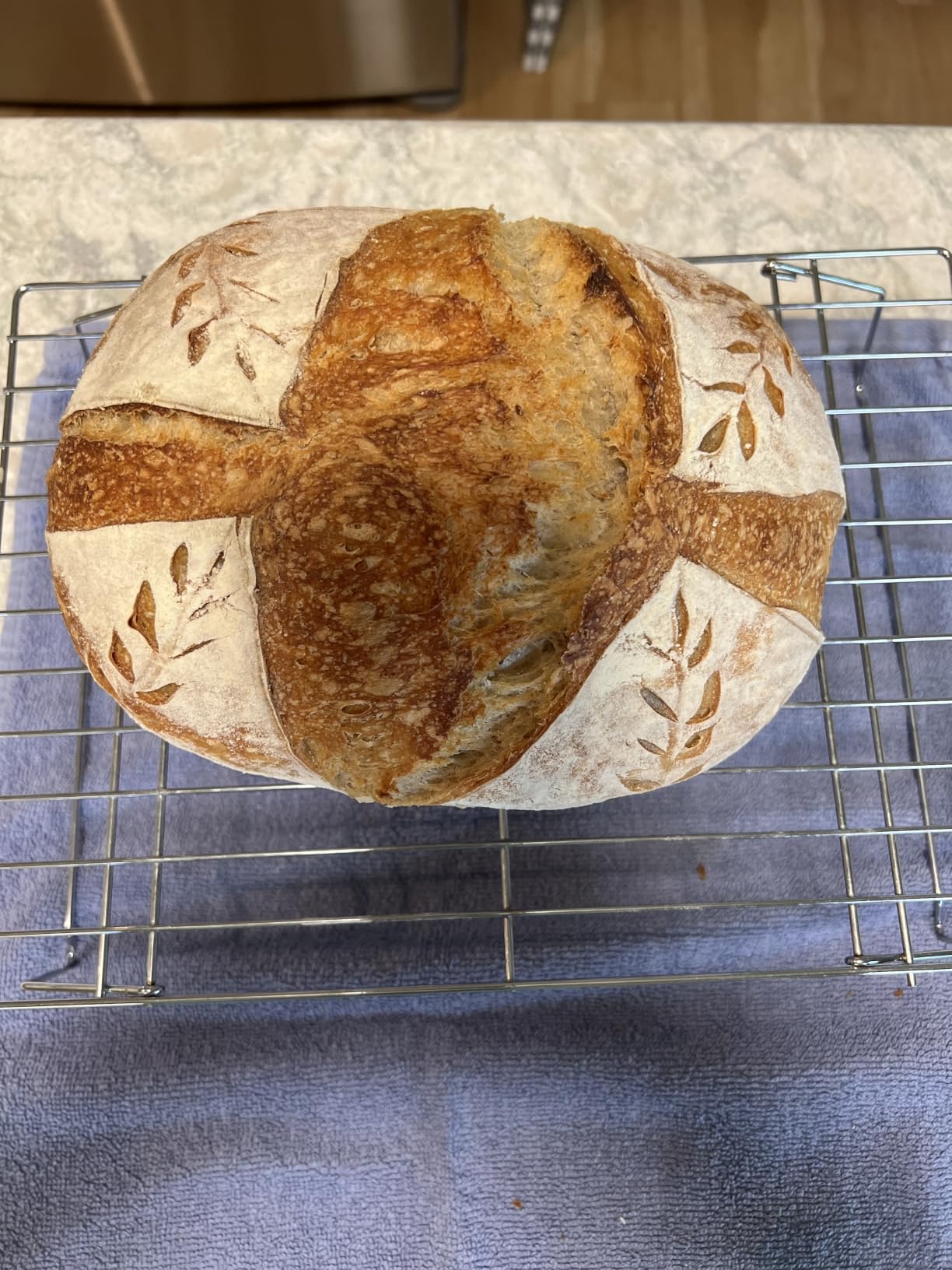 Rorecay Sourdough Starter Kit with Banneton Bread Proofing Baskets | Complete Sourdough Bread Baking Supplies, Beginner Friendly, 9in Round & 10in Oval Rattan Banneton, Sturdy Sour Dough Tool customer photo 2