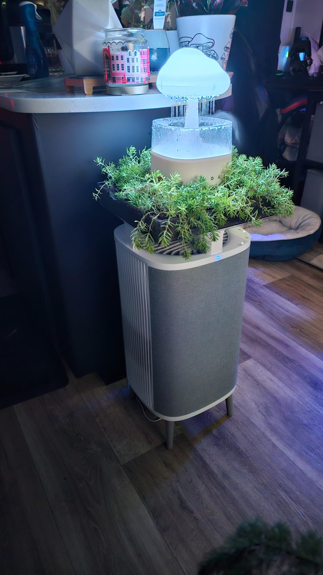 BLUEAIR Air Purifier Medium Room, Cleans up to 1,713 Sq ft Air Cleaner for Dust Pet Dander Smoke Pollen Allergen Odor Removal Home Bedroom Living Room, Alexa, Auto, HEPASilent, DustMagnet 5440i customer photo 1