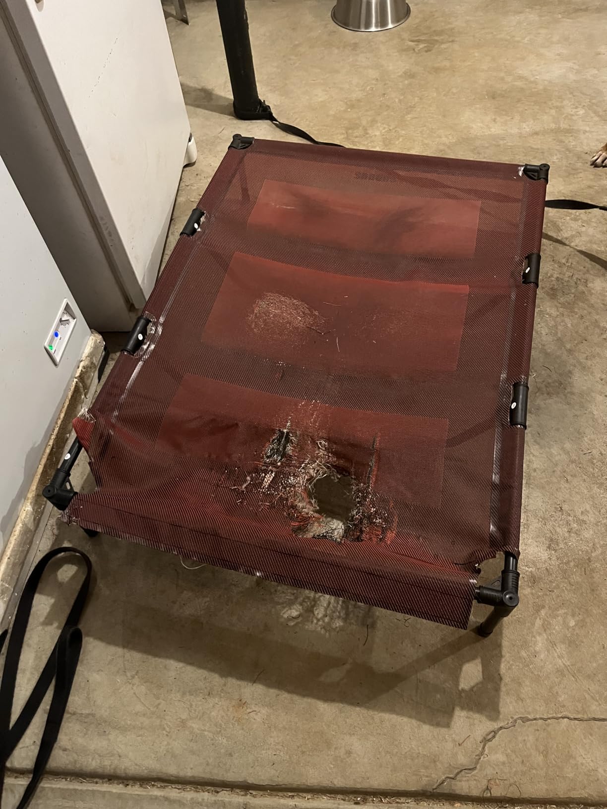 suddus Elevated Dog Bed for Large Dogs 120lb, Breathable Cooling Raised Dog Cot customer photo 1