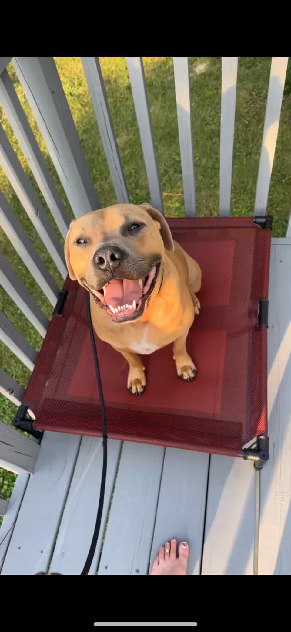 suddus Elevated Dog Bed for Large Dogs 120lb, Breathable Cooling Raised Dog Cot customer photo 2