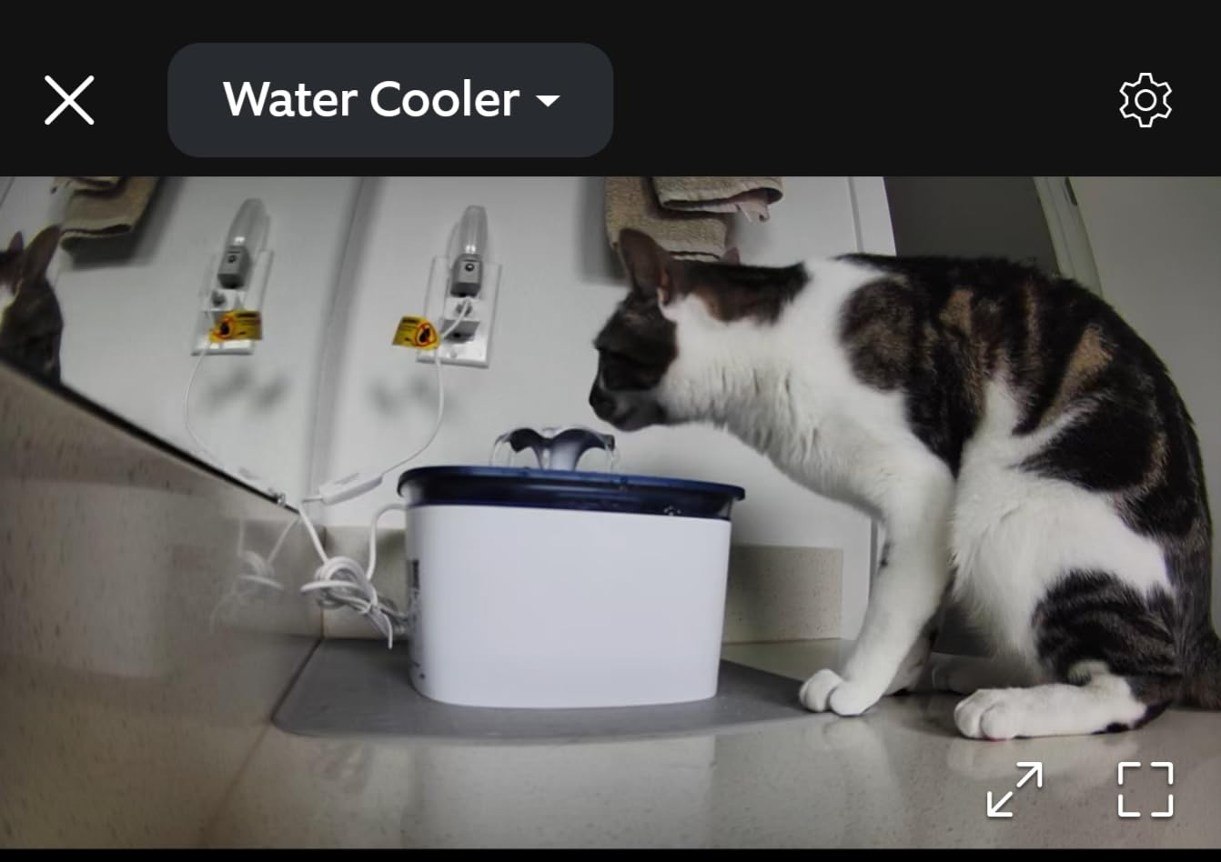 Pet Water Fountain for Dogs and Cats, 2.5L Automatic Dog Water Bowl with USB Cable or Battery, Pet Water Dispenser with Triple Filtration System, Blue customer photo 2