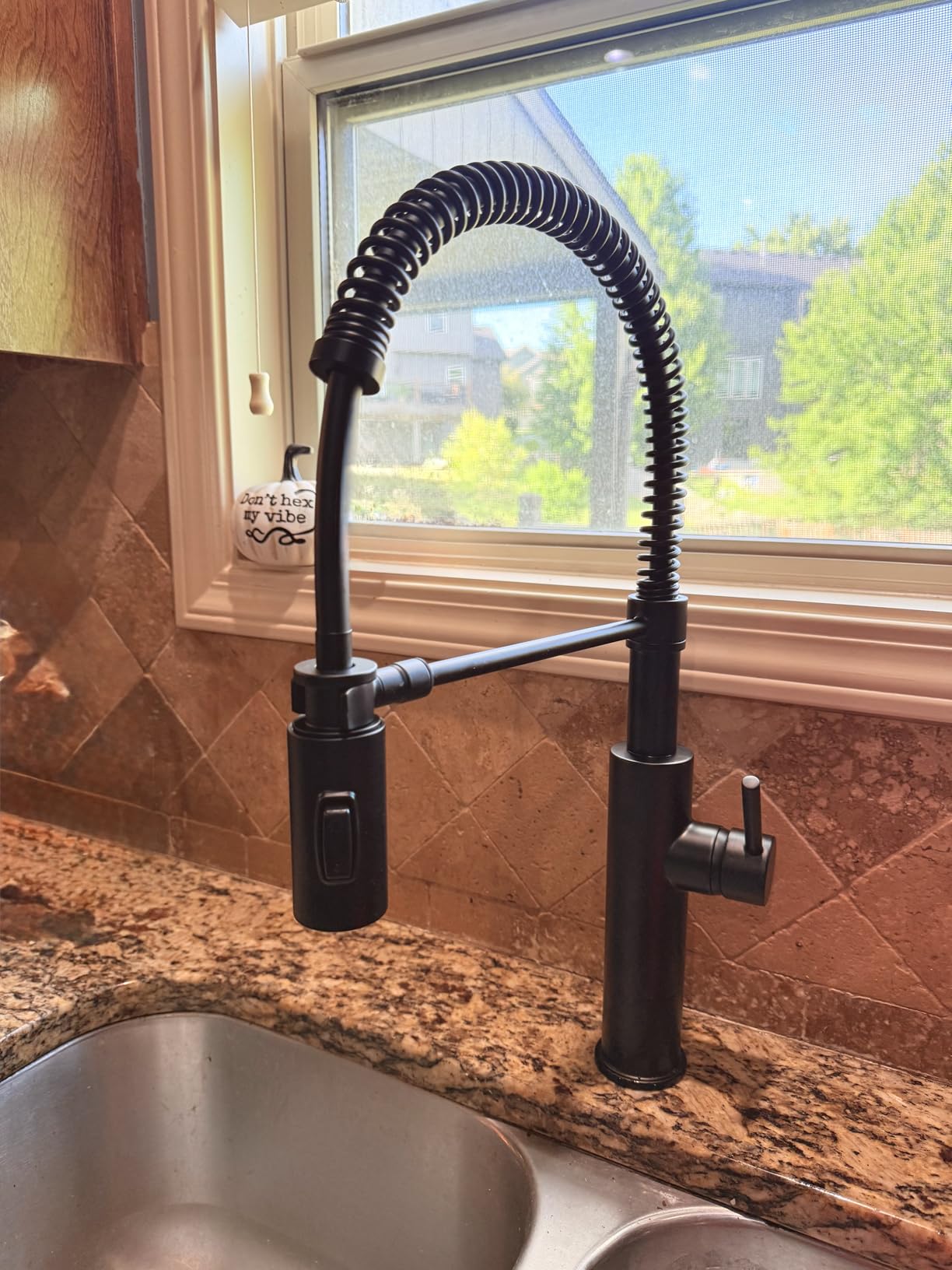 Delta Antoni Pro Style Commercial Kitchen Faucet with Pull Down Sprayer, Brushed Nickel Single Hole Kitchen Sink Faucet, Single Handle, Spotshield Stainless 18803-SP-DST customer photo 1