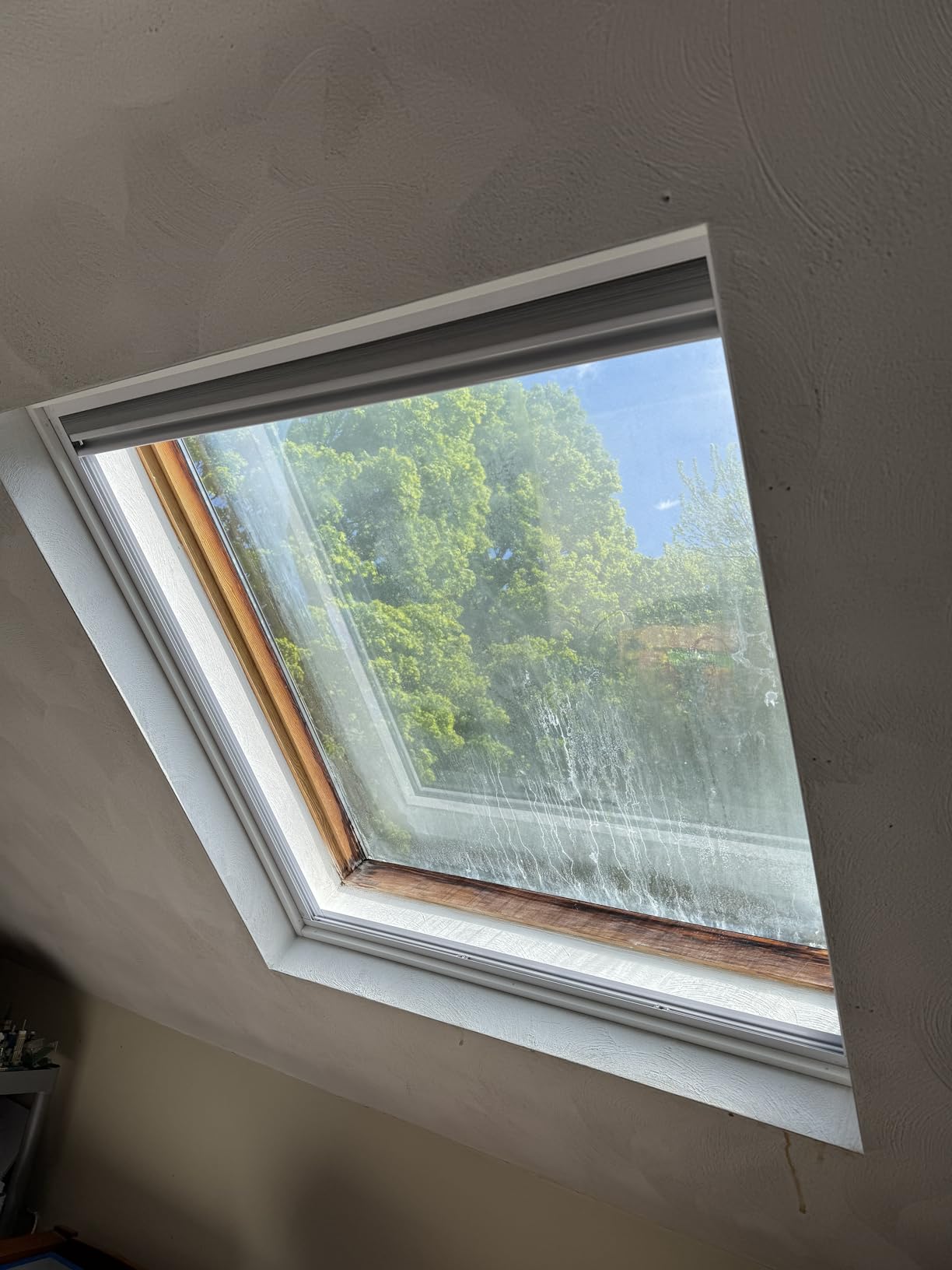 Tipiace Custom Blackout Skylight Window Cellular Shades (White 93021A) | Thermal insulation for extreme temperature control, UV blocking, energy saving, privacy and light control for home use customer photo 1