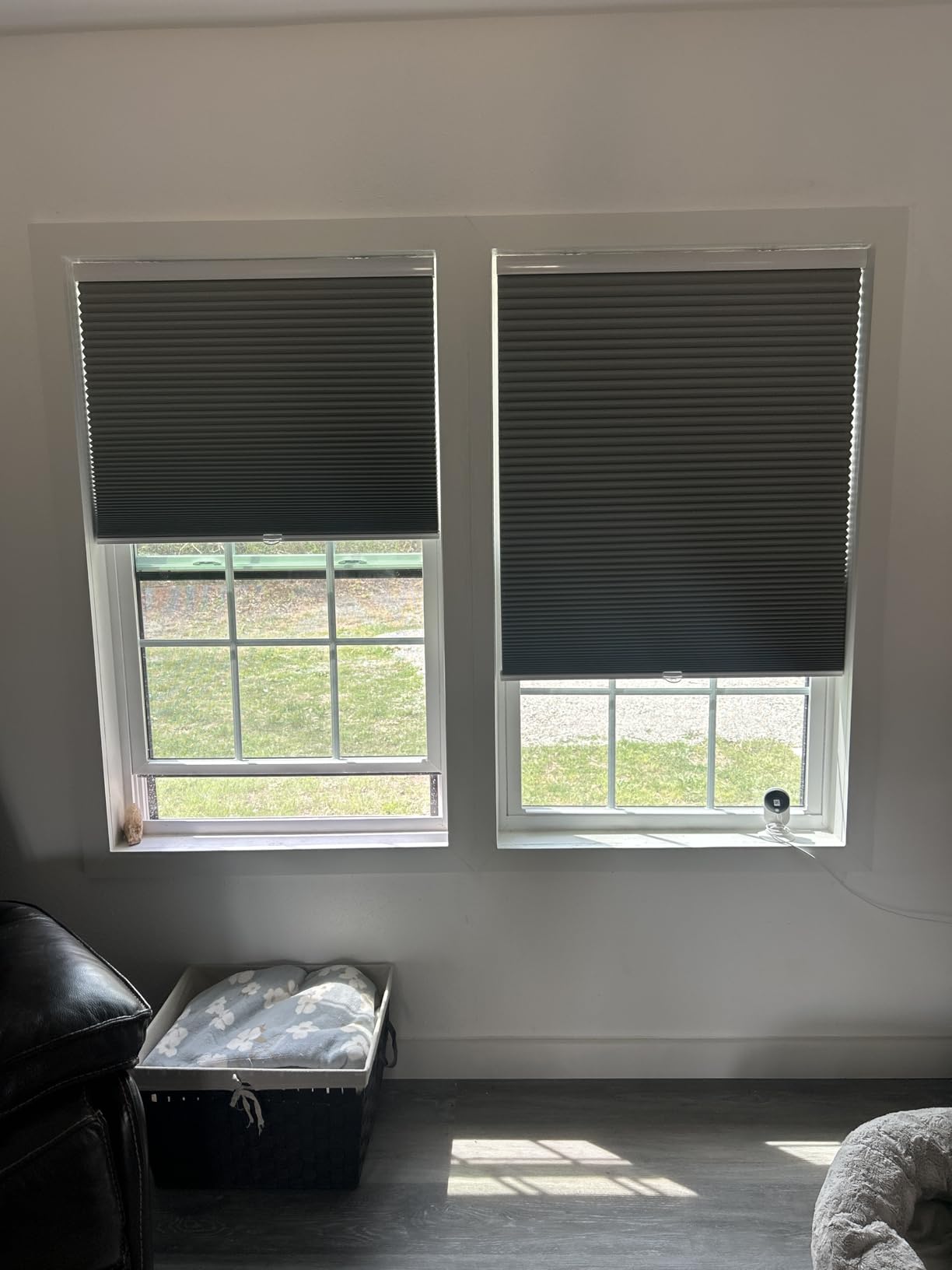 MYshade Cordless Blackout Cellular Shades for Windows, Honeycomb Window Shades with Thermal Insulation, Child & Pet Safe Room Darkening Shade, Easy Install, 24
