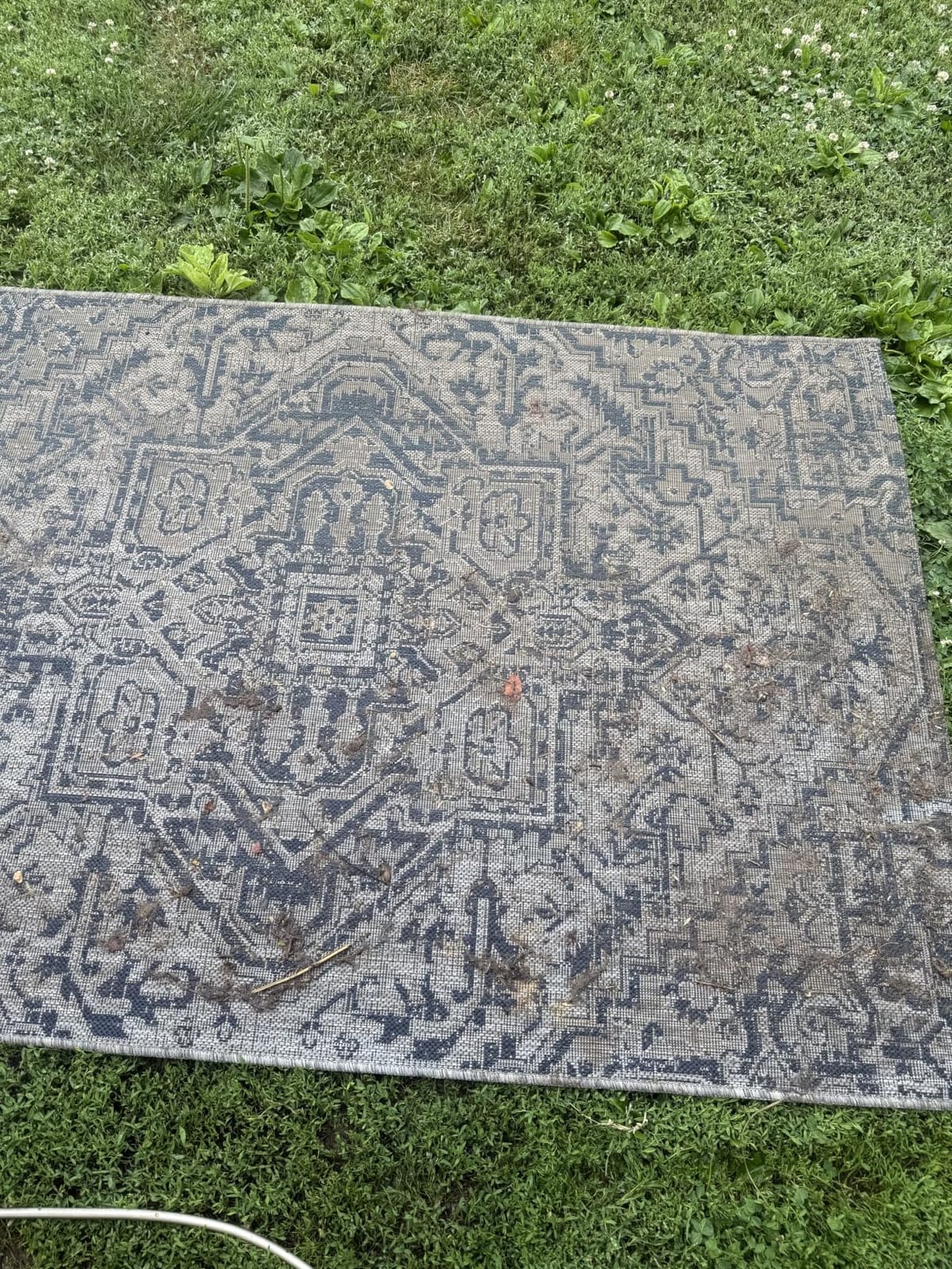 JONATHAN Y Boho Medallion Indoor Outdoor Area Rug 9X12 Navy/Gray, Estrella Textured Weave for Backyard, Patio, Porch, Easy-Cleaning, High Traffic, Pet-Friendly, Non-Shedding (SMB105B-9) customer photo 2