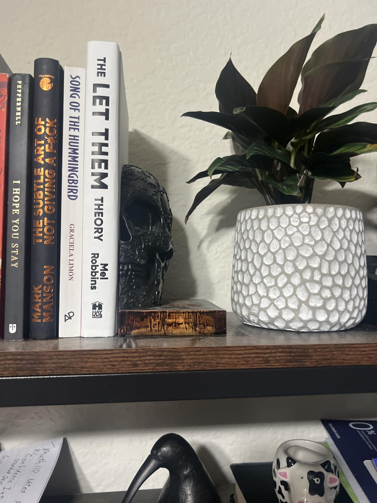 Skull Bookends, Heavy-Duty Gothic Skeleton Book Holder Set | Keeps Heavy Books Secure, Perfect for Bookshelves, Offices & Home Libraries, Gift for Book Lovers & Horror Fans customer photo 1
