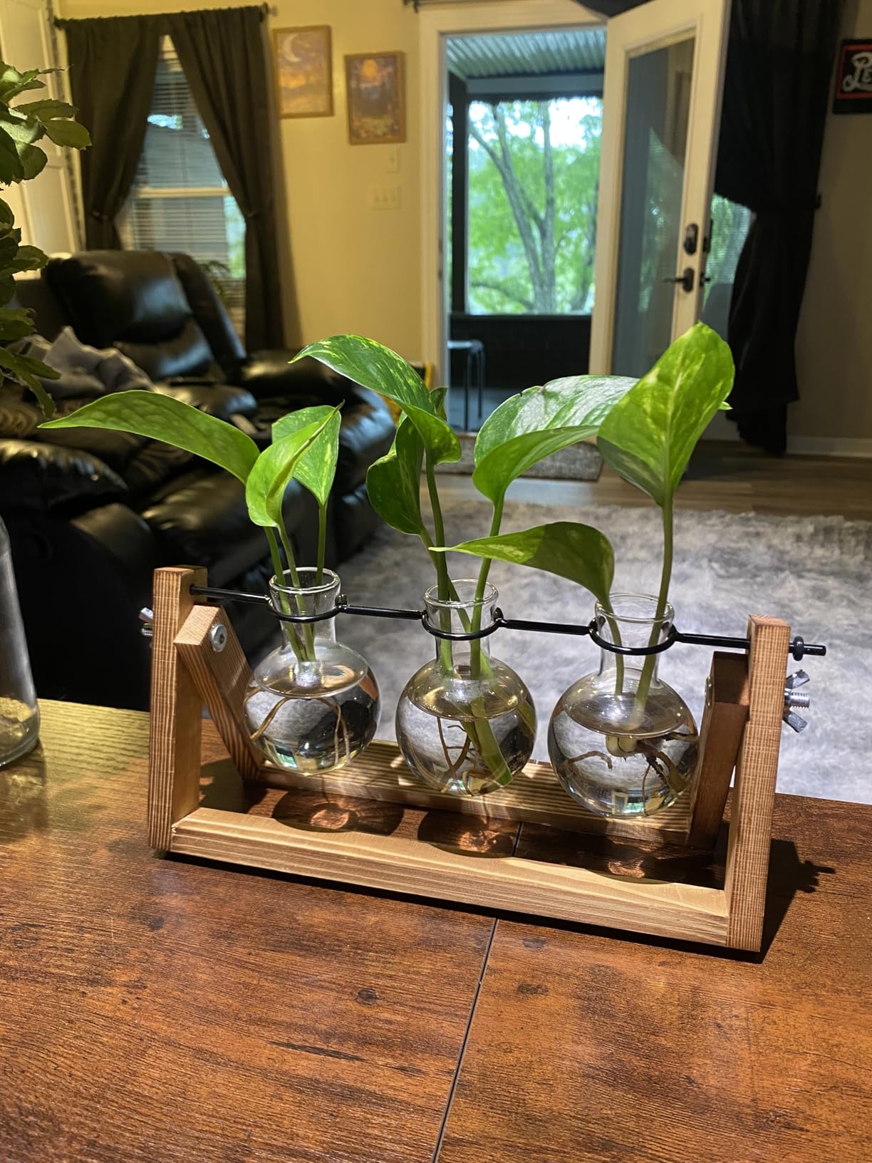 Renmxj Plant Propagation Station, Plant Terrarium with Wooden Stand | Unique Gardening Birthday Gifts for Women Plants Lovers, Home Office Garden Decor Planter - 3 Bulb Glass Vases customer photo 1