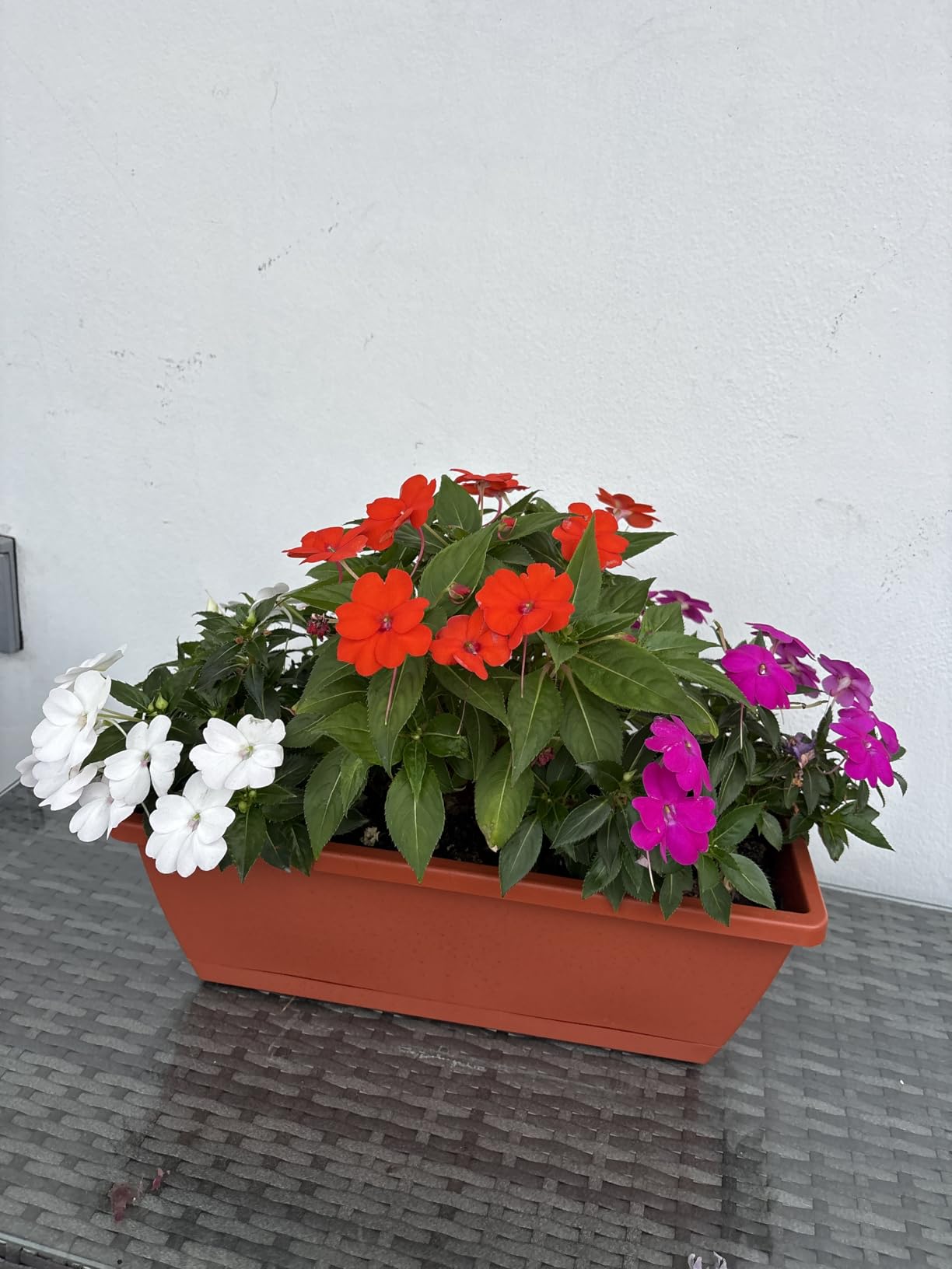 Window Box Planter, 7 Pack Plastic Vegetable Flower Planters Boxes | 17 Inches Rectangular Flower Pots with Saucers for Indoor Outdoor Garden, Patio, Home Decor (Red) customer photo 1