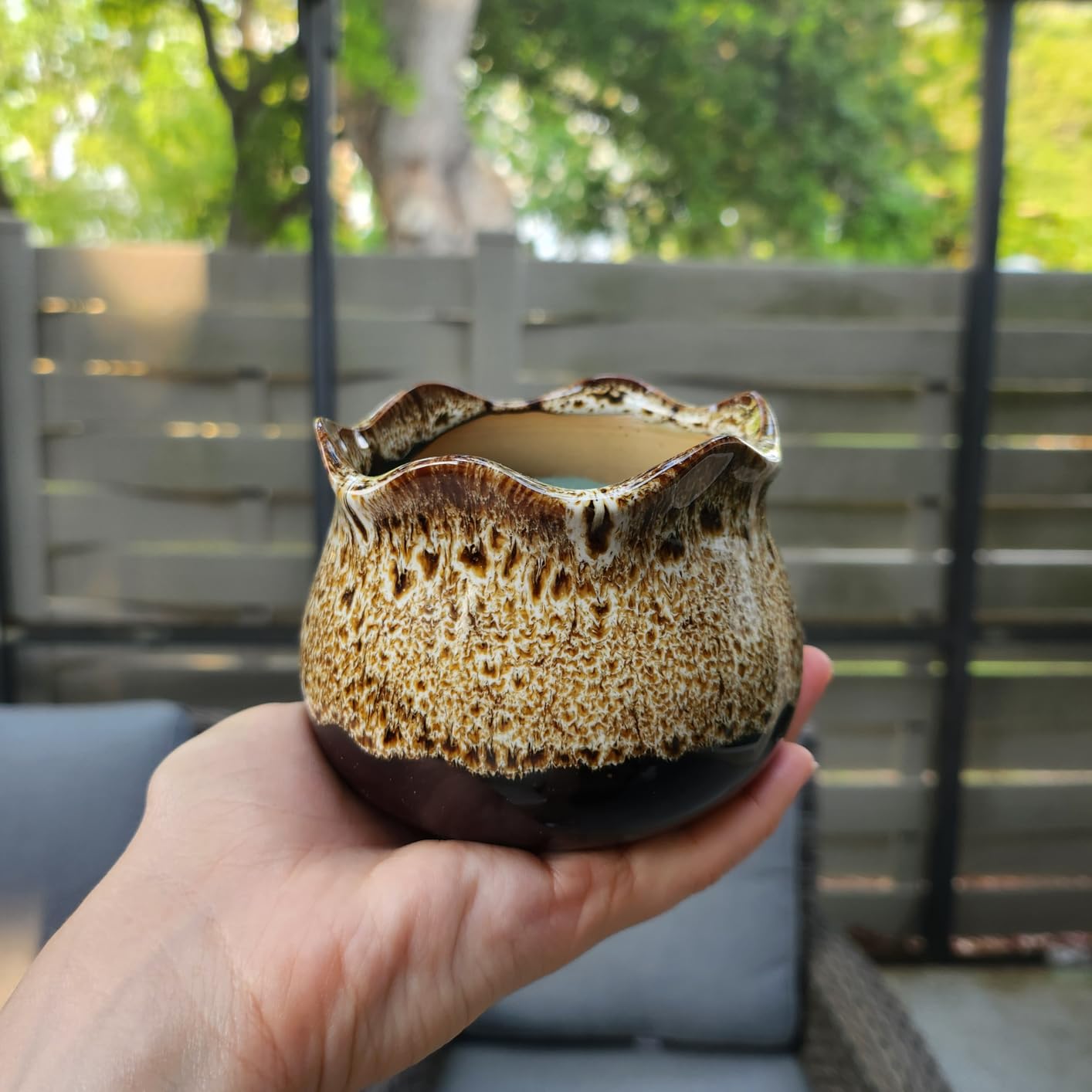 Cute Ceramic Succulent Garden Pots, Planter with Drainage and Attached Saucer, Set of 5 - Plants Not Included (Round) customer photo 1