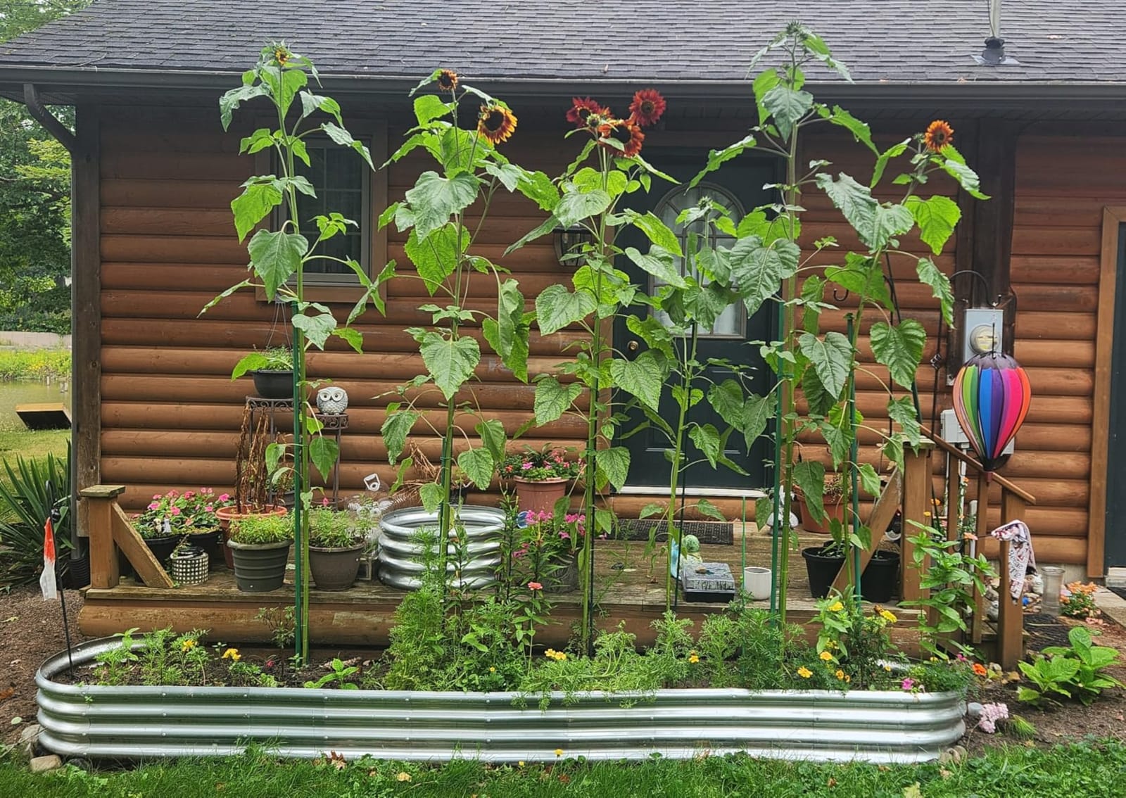 Land Guard Galvanized Raised Garden Bed Kit, Galvanized Planter Garden Boxes Outdoor, Oval Large Metal Raised Garden Beds for Vegetables customer photo 1