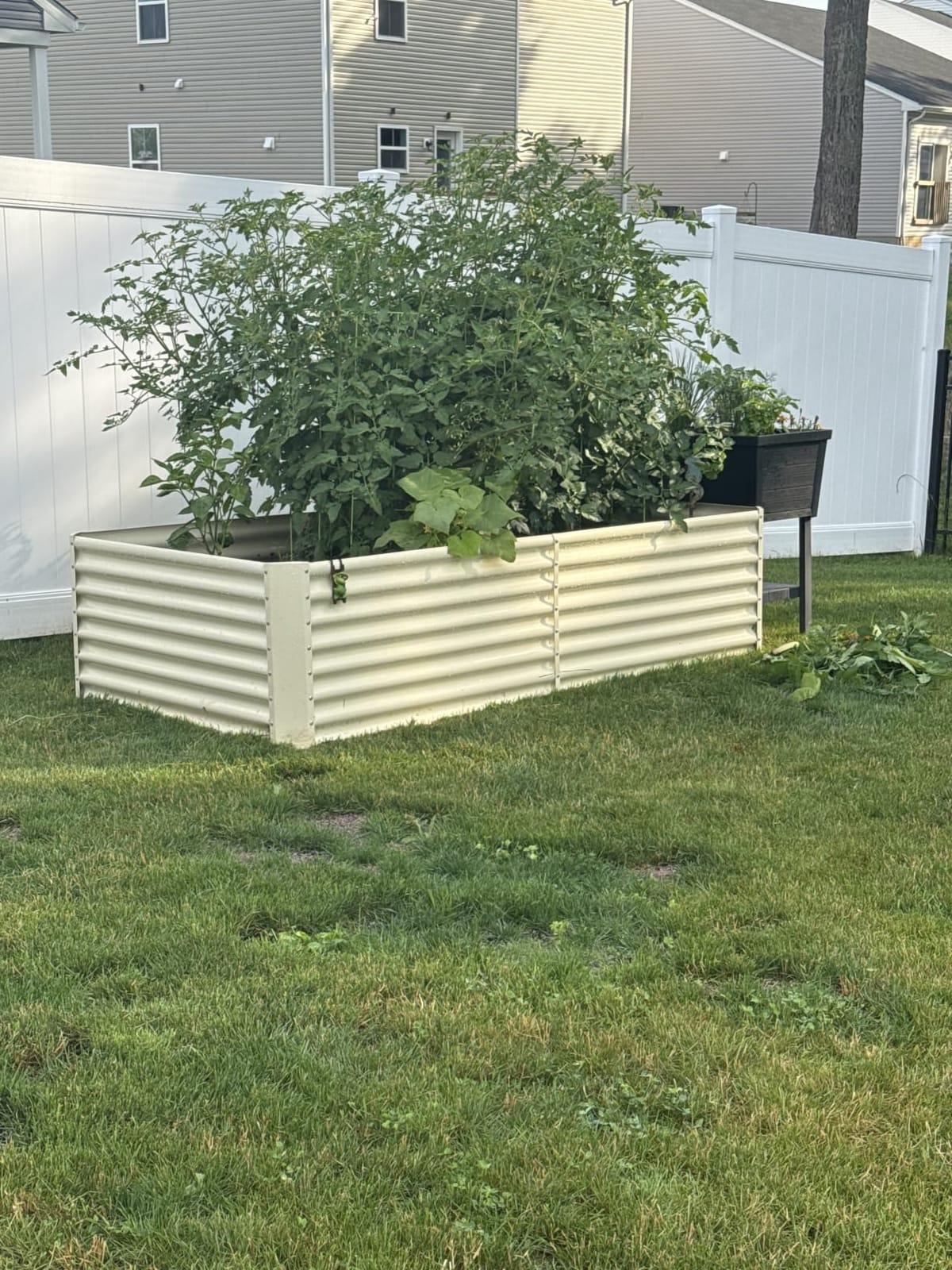 Land Guard 8×4×2 ft Galvanized Raised Garden Bed Kit, Galvanized Planter Raised Garden Boxes Outdoor, Large Metal Raised Garden Beds for Vegetables customer photo 2