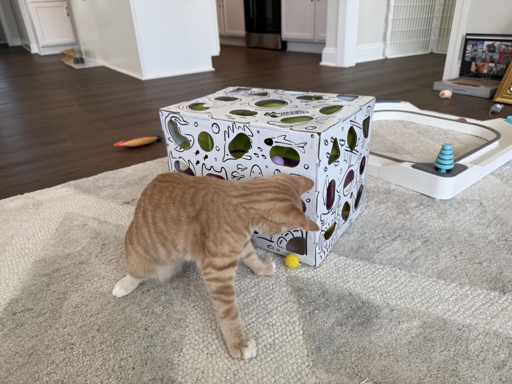 Cat Amazing MEGA - Cat Treat Puzzle Box - Interactive Food Maze - Cat Puzzle Feeder - Treat Box for Indoor Cats - Enrichment Food Toy - Best Cat Toy for Cats! customer photo 1