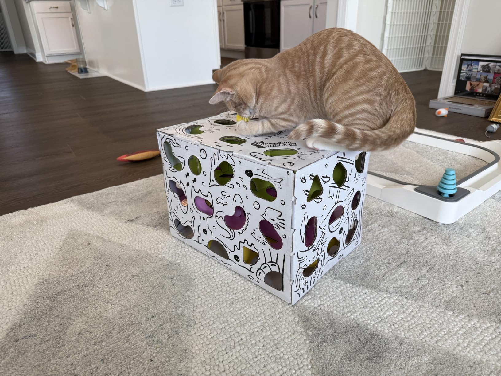Cat Amazing MEGA - Cat Treat Puzzle Box - Interactive Food Maze - Cat Puzzle Feeder - Treat Box for Indoor Cats - Enrichment Food Toy - Best Cat Toy for Cats! customer photo 2
