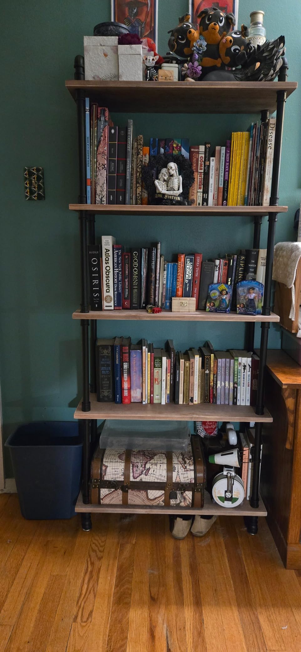 Industrial Bookshelf, Pipe Shelf Bookcase, 5 Tier, 30