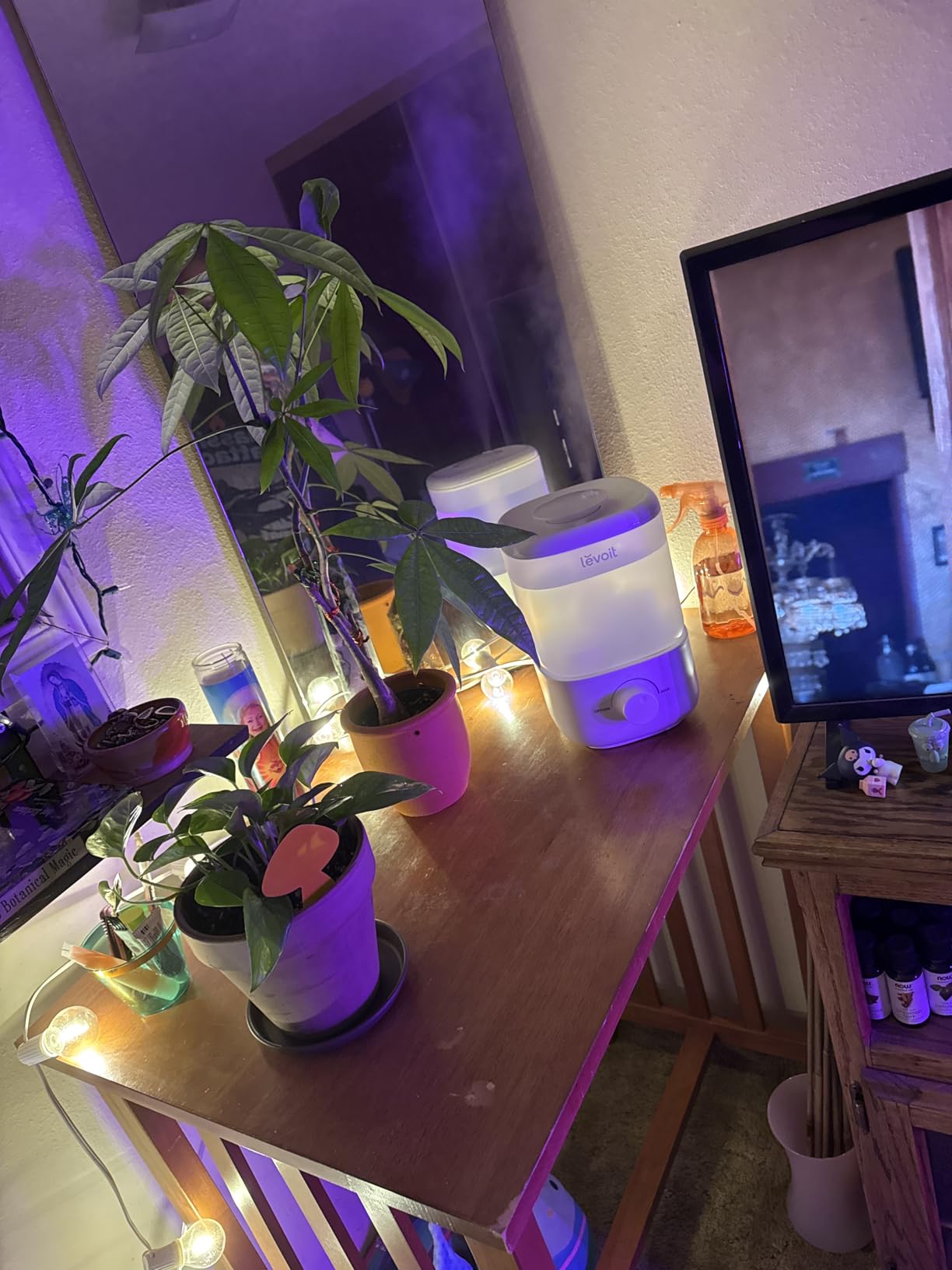 Levoit 300S Smart Cool Mist Top Fill Humidifiers for Bedroom with Sensor, 3L | Auto Humidity Setting, APP & Voice Control, Essential Oil Diffuser, Ultra Quiet Operation, Super Easy Top Fill, 25H, White customer photo 1