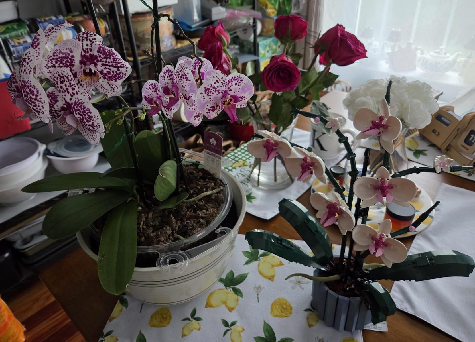 LEGO Botanicals Orchid - Artificial, Fake Indoor Flowers Building Set for Home, Kitchen, Desk Decoration, Adults Ages 18+ - Gift for Birthdays - 10311 customer photo 1