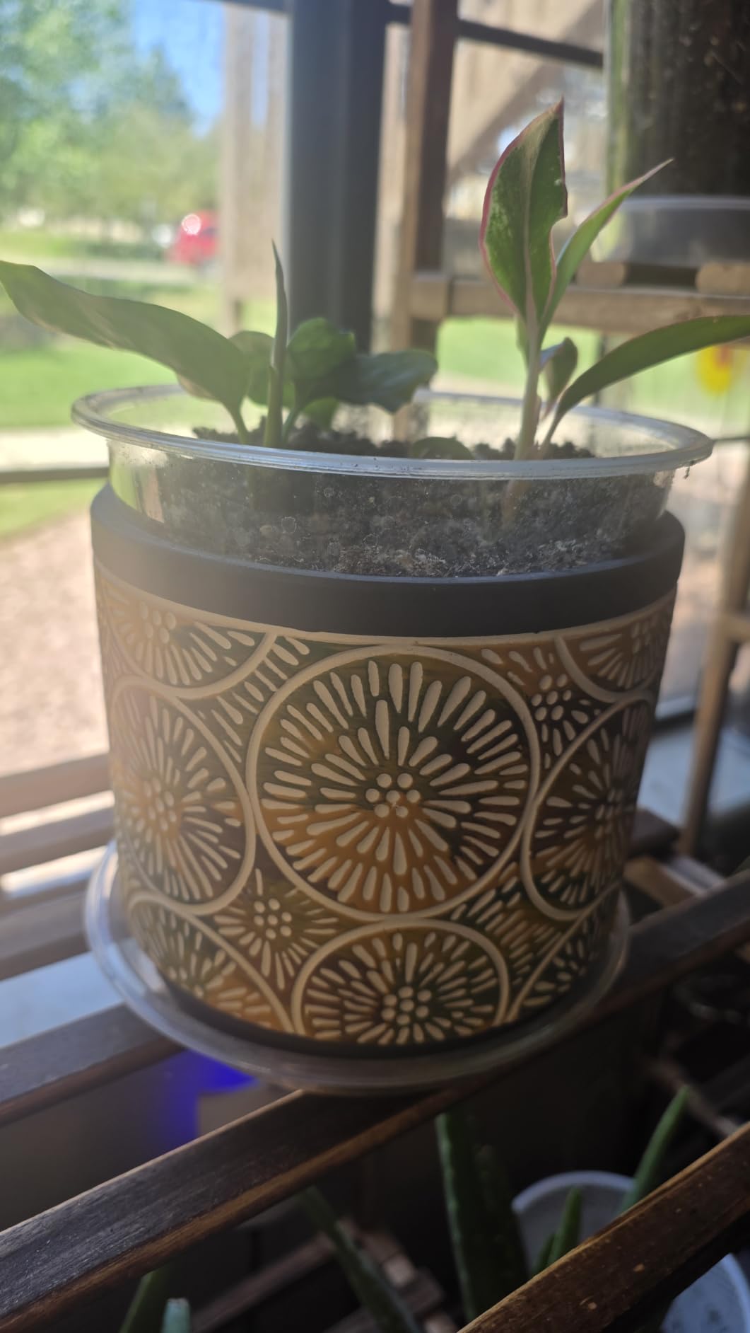 DeeCoo 3 Piece Ceramic Plant pots Indoor Pots Set with Drainage Holes, 5.7/4.7/3.5/inch, Modern Decorative pots Outdoor Plants Lilies, Cacti, Succulents, Snakes, and Bamboo (Blue) customer photo 1