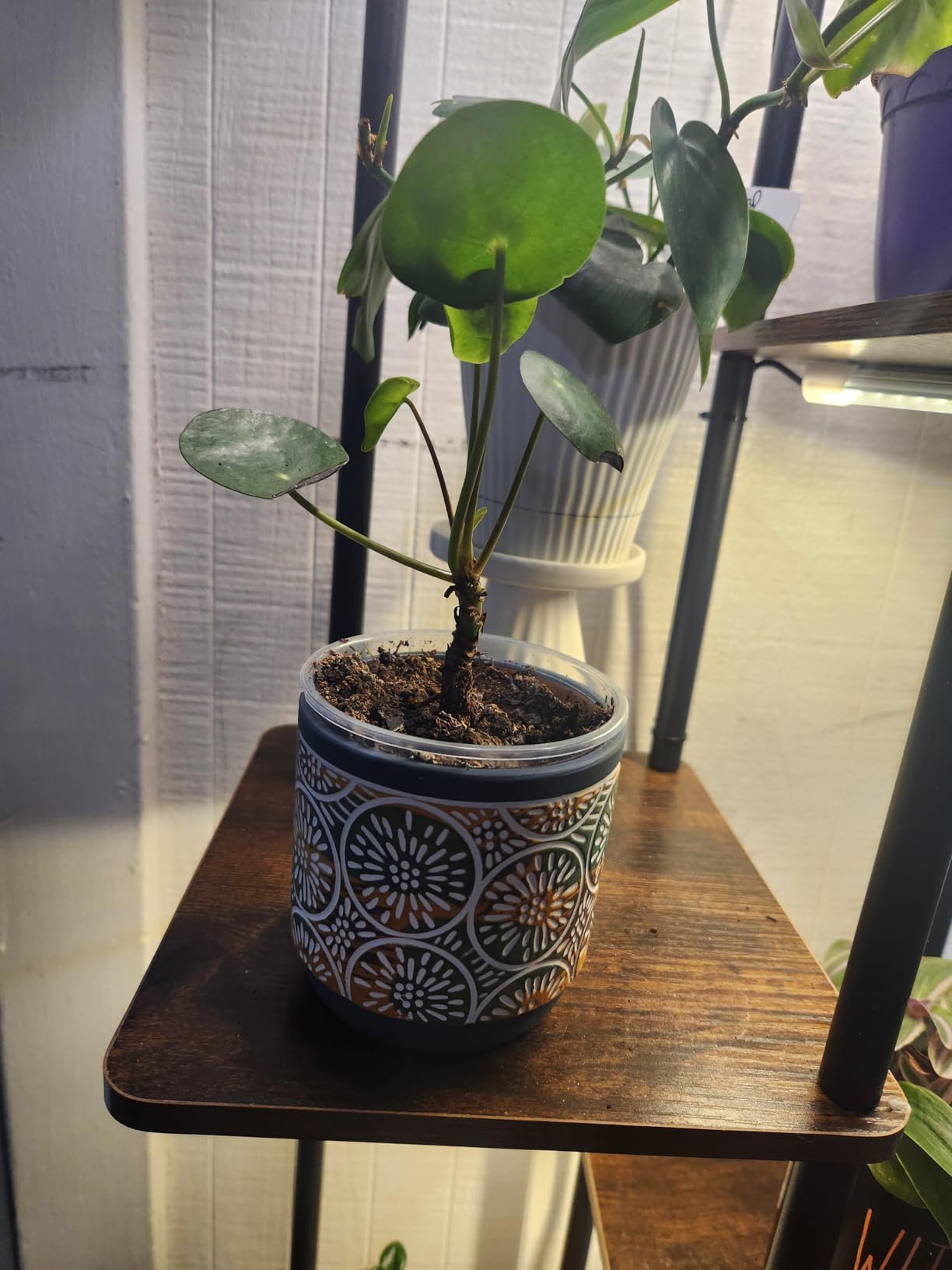 DeeCoo 3 Piece Ceramic Plant pots Indoor Pots Set with Drainage Holes, 5.7/4.7/3.5/inch, Modern Decorative pots Outdoor Plants Lilies, Cacti, Succulents, Snakes, and Bamboo (Blue) customer photo 2