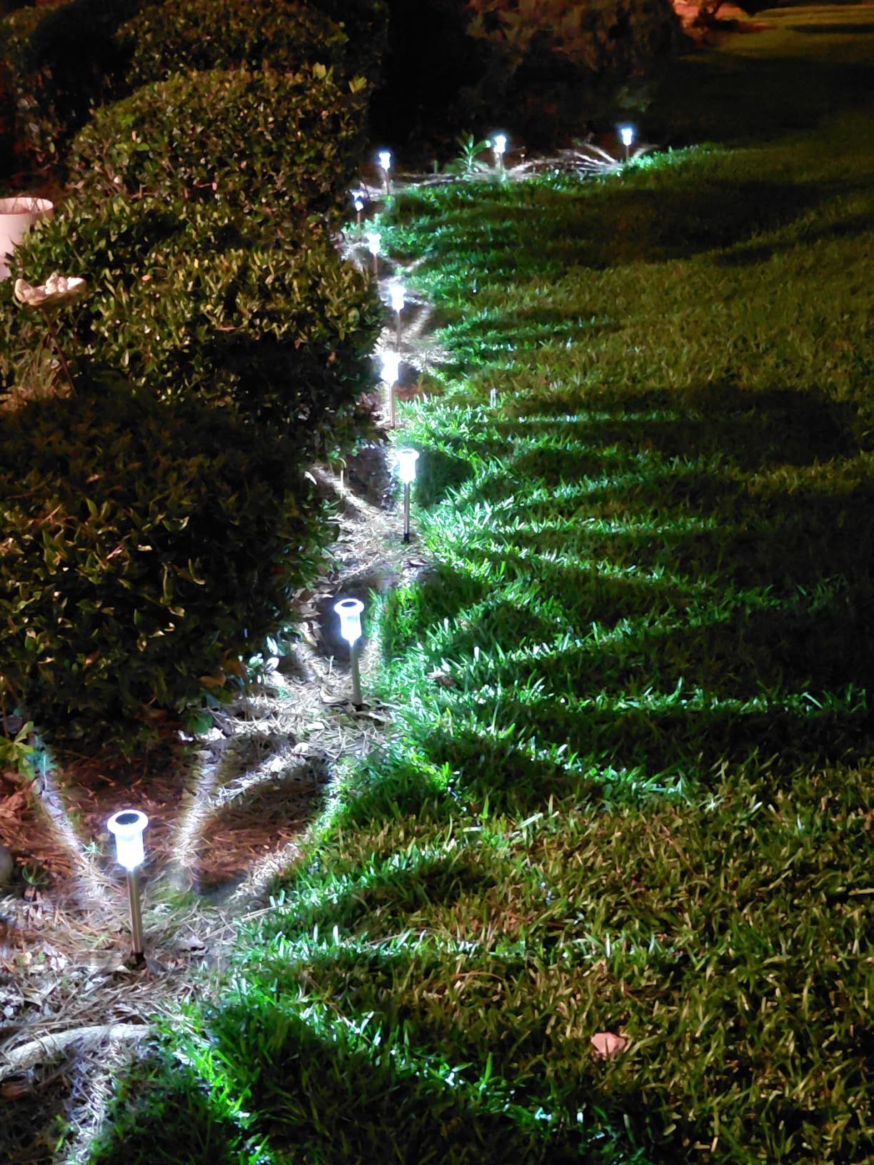 DenicMic Solar Lights Outdoor Waterproof 10 Pack Pathway Lights Cool White | Stake Lights for Yard Garden Driveway Walkway Outside Landscape Path Lights, Auto On/Off 6000K LED, Stainless Steel Pole customer photo 1