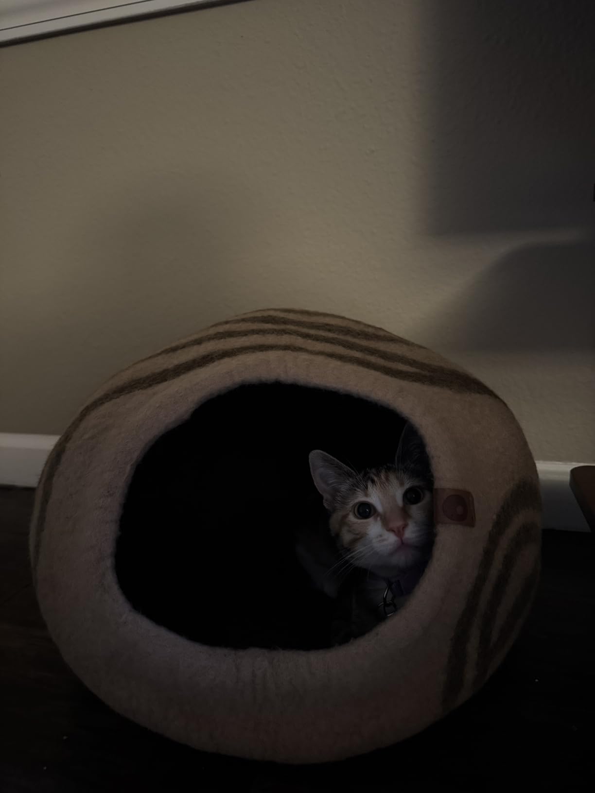 MEOWFIA Cat Cave - Merino Wool Bed for Indoor Cats (Rose Gold, Medium) | Cat Bed Enclosure, Premium Felt, Handmade, Super Soft, Lightweight, Breathable, Adjustable Shape customer photo 1