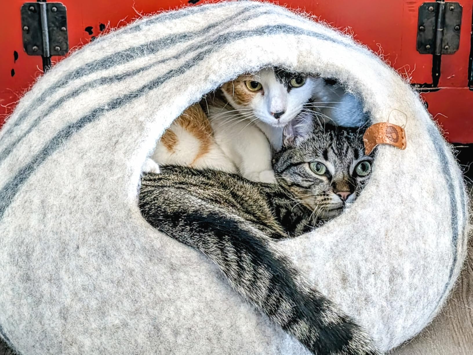 MEOWFIA Cat Cave - Merino Wool Bed for Indoor Cats (Rose Gold, Medium) | Cat Bed Enclosure, Premium Felt, Handmade, Super Soft, Lightweight, Breathable, Adjustable Shape customer photo 2