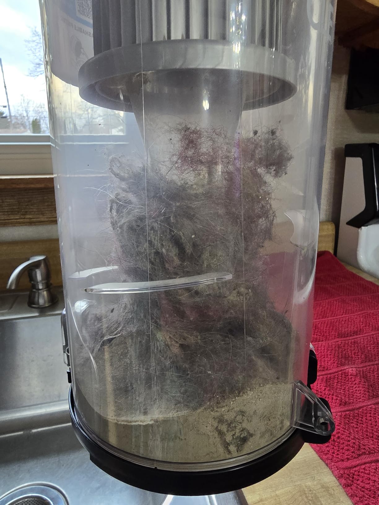 Bissell CleanView Upright Vacuum with Active Extension Wand, XL 2L Dirt Tank Capacity, Powerful Suction & OnePass Technology for Carpets & Hard Floors, 3536 customer photo 2