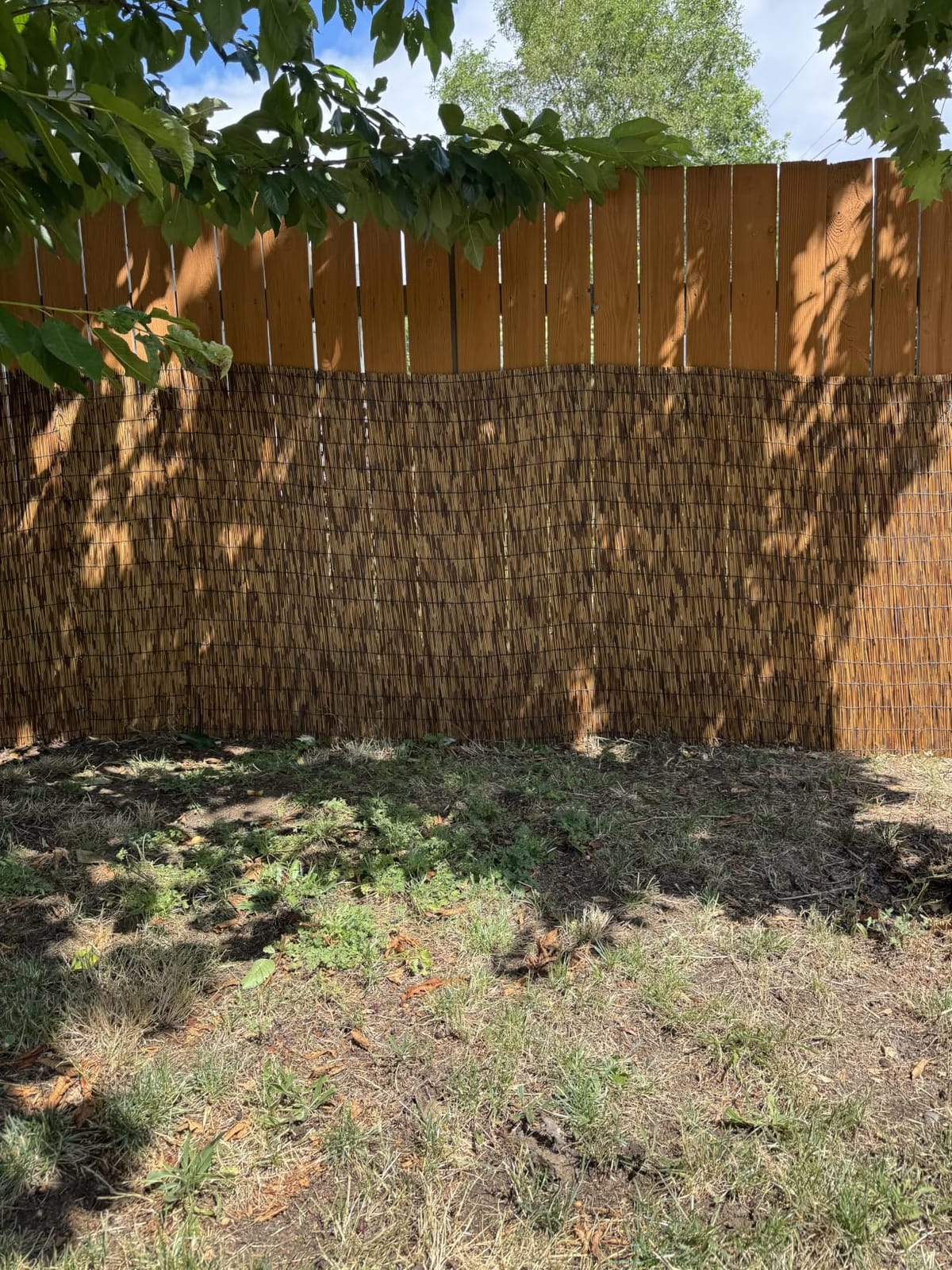 ZNCMRR Reed Fencing Rolls 4ft High Roll Reed Screen for Balcony Patio Garden Backyard 4FT X 16.4FT Privacy Fence (Brown) customer photo 2