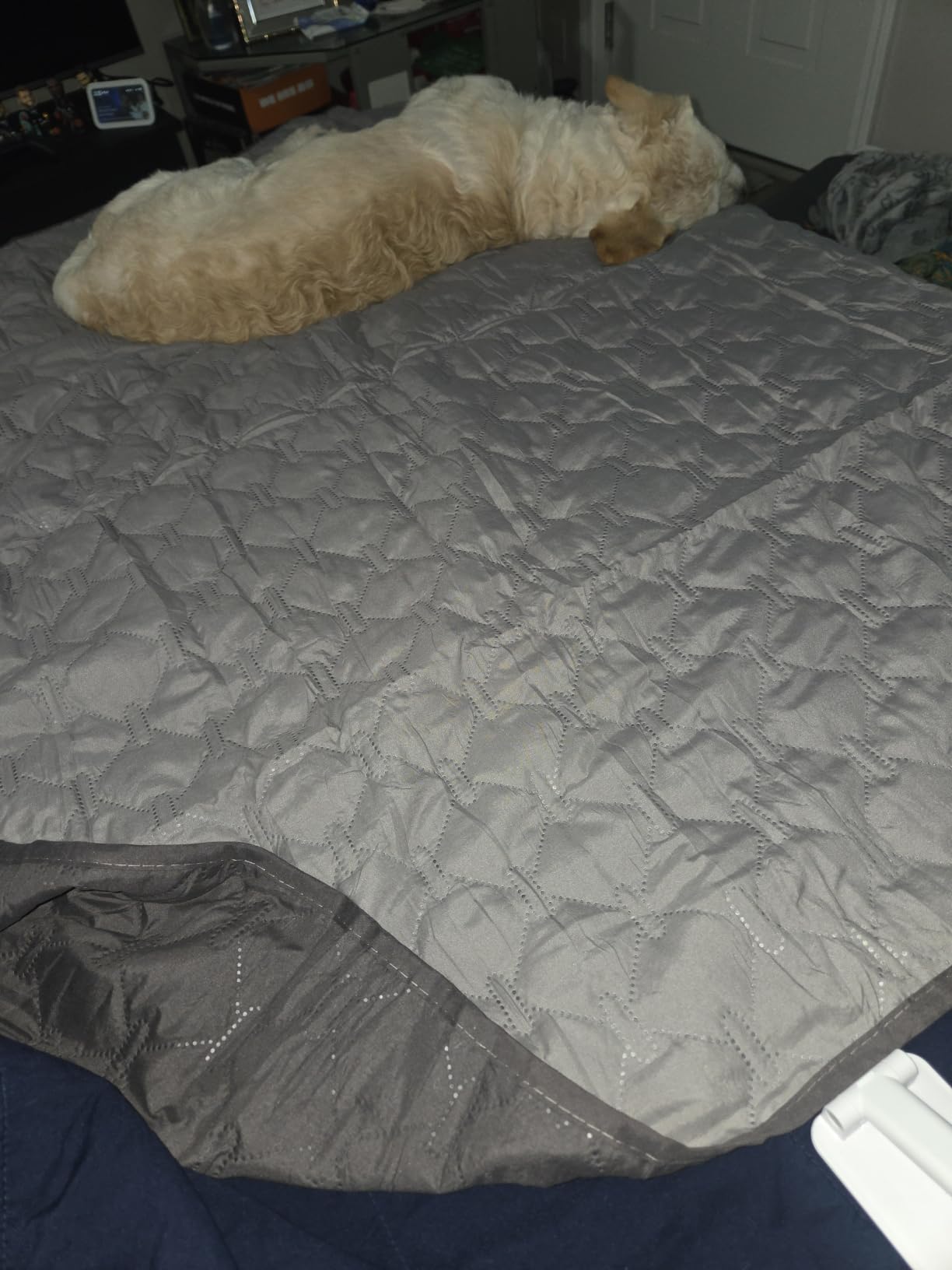 gogobunny Waterproof Blanket, Couch Covers for Dogs, Reversible Protector | 3X Stronger Leakproof, Scratch Proof Durable Furniture Protection, Stain Resistant, Washable, 30x70 Inch Dark/Light Grey customer photo 1