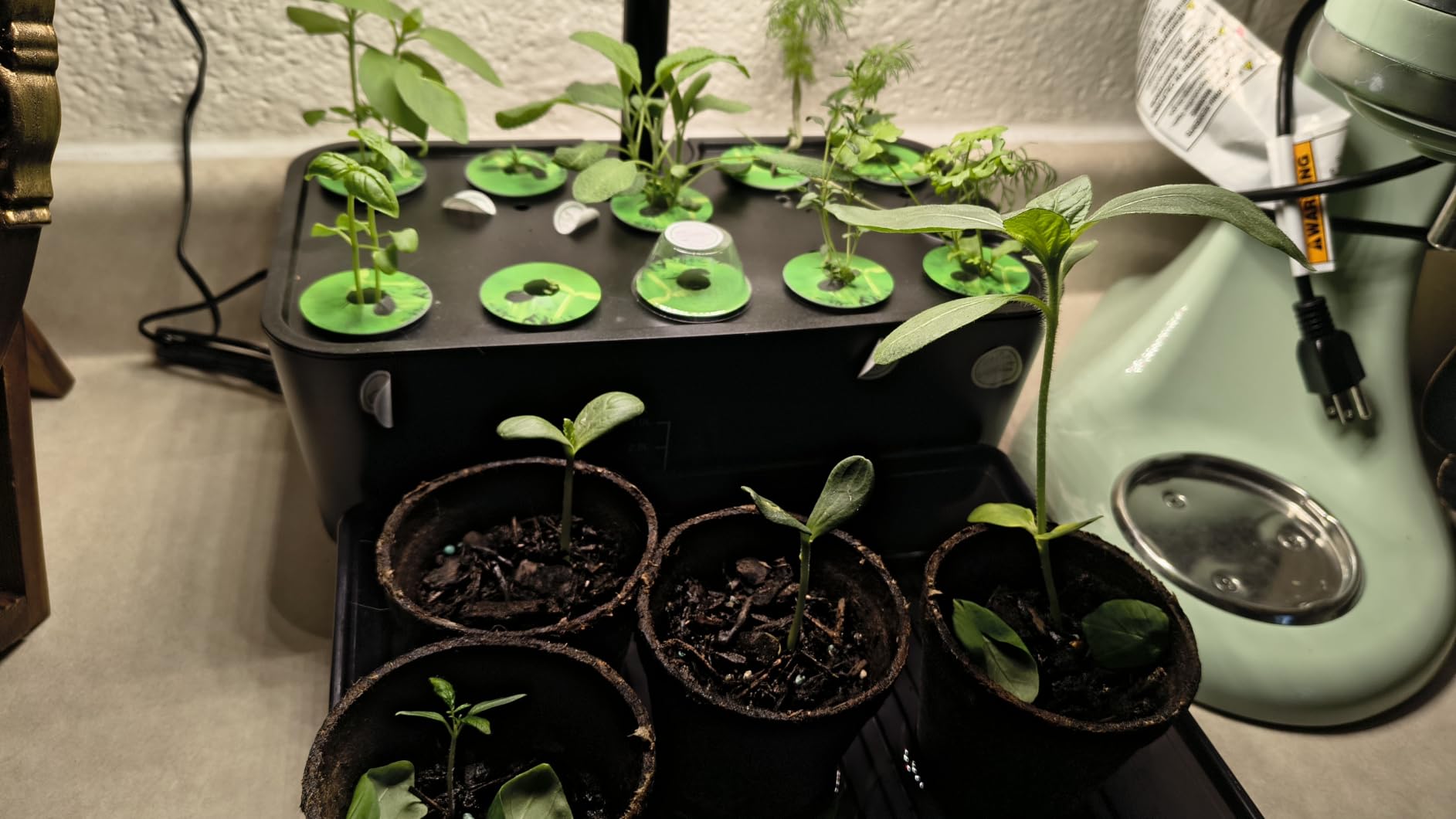 Ahopegarden Indoor Garden Hydroponics Growing System: 10 Pods Kit with LED | Plant Germination Kit Herb Vegetable Growth Lamp Countertop, Hydroponic Planter Grower Harvest Lettuce for Healthy Home Cooks customer photo 1