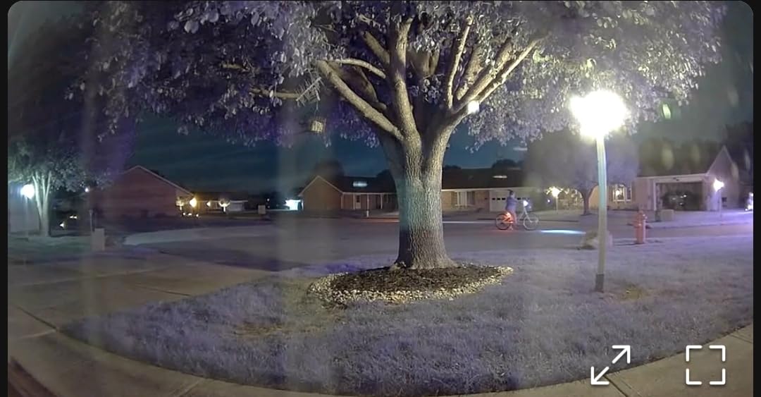 Ring Indoor Cam, Home or business security in 1080p HD video, White customer photo 2