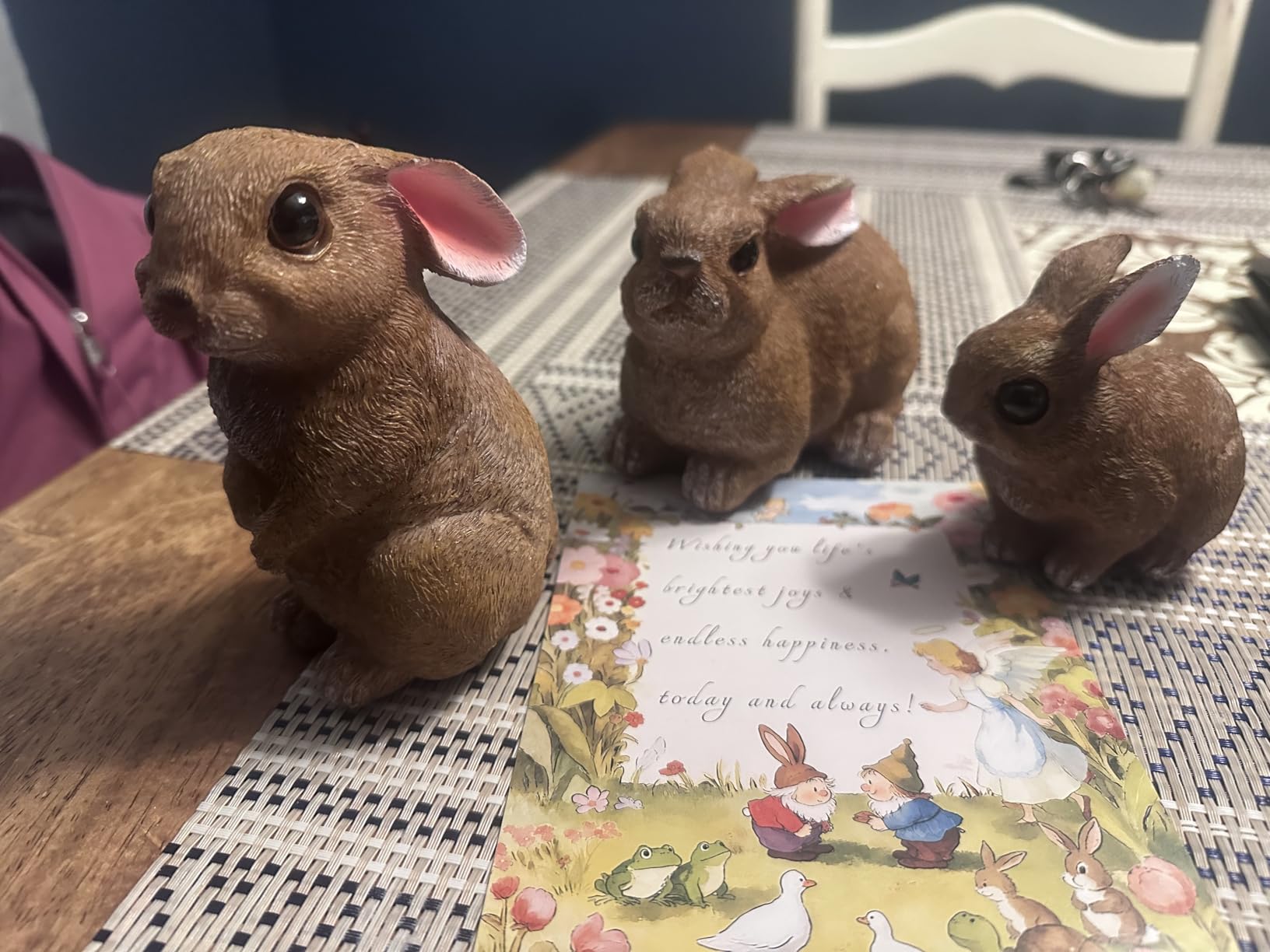 Bunny Decor Set of 3 Resin Easter Garden Statues Outdoor Indoor Home Yard | Easter Rabbit Figurines for Flower Bed Lawn, Spring Yard Decorations, Bunny Statue Gift for Mom, Indoor Tabletop Patio Decor customer photo 1