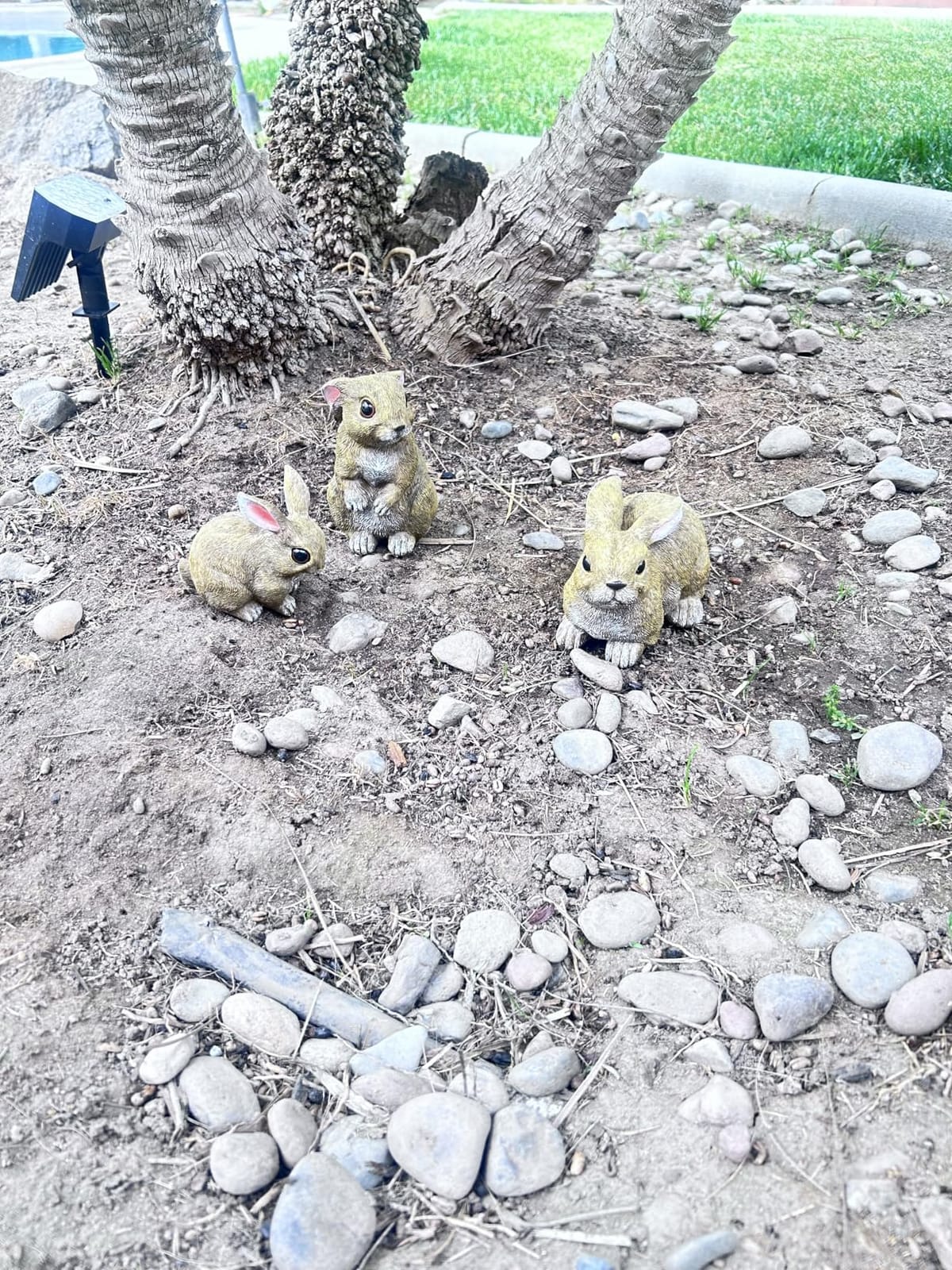 Bunny Decor Set of 3 Resin Easter Garden Statues Outdoor Indoor Home Yard | Easter Rabbit Figurines for Flower Bed Lawn, Spring Yard Decorations, Bunny Statue Gift for Mom, Indoor Tabletop Patio Decor customer photo 2