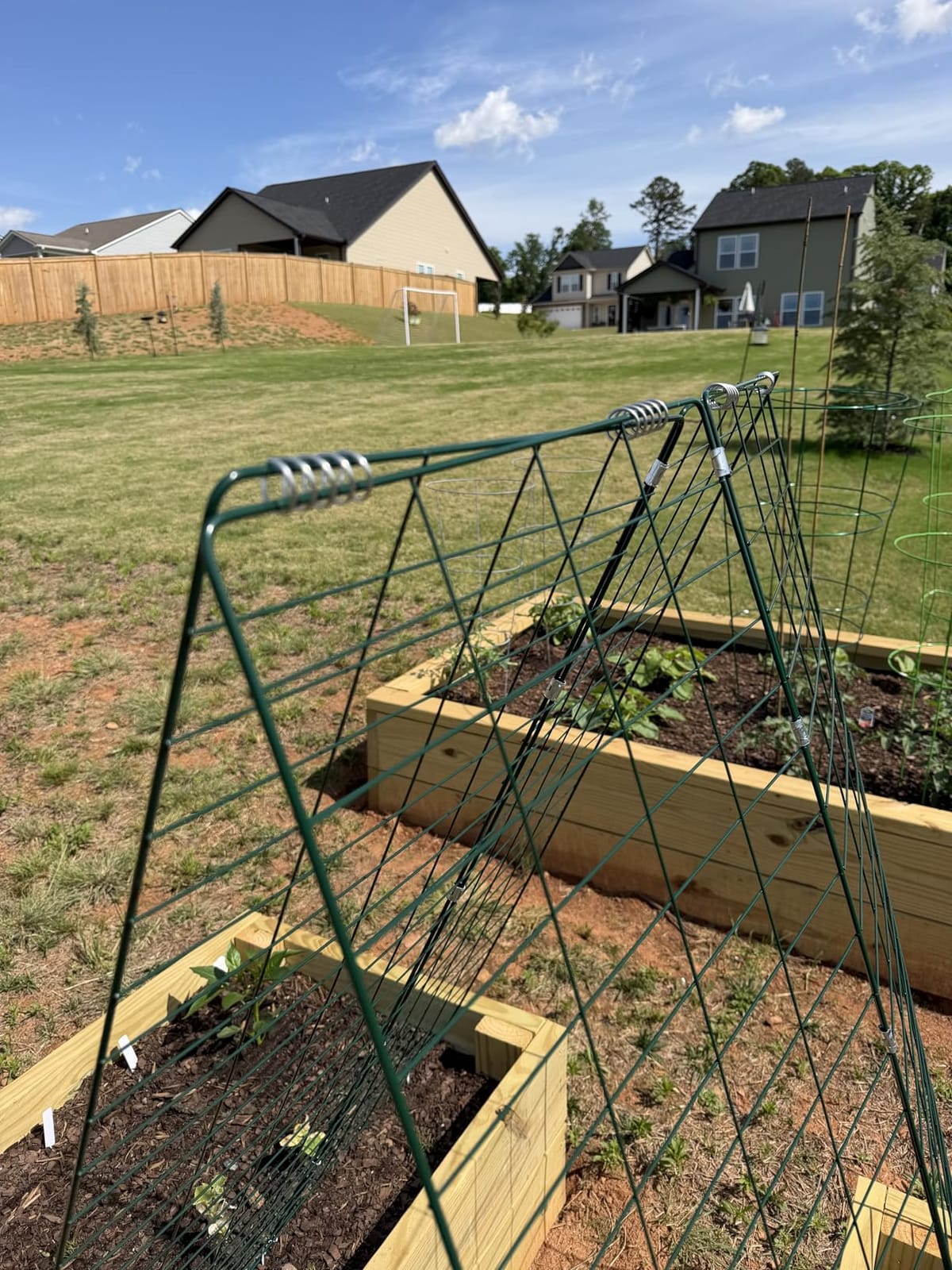 Foldable Cucumber Trellis 48