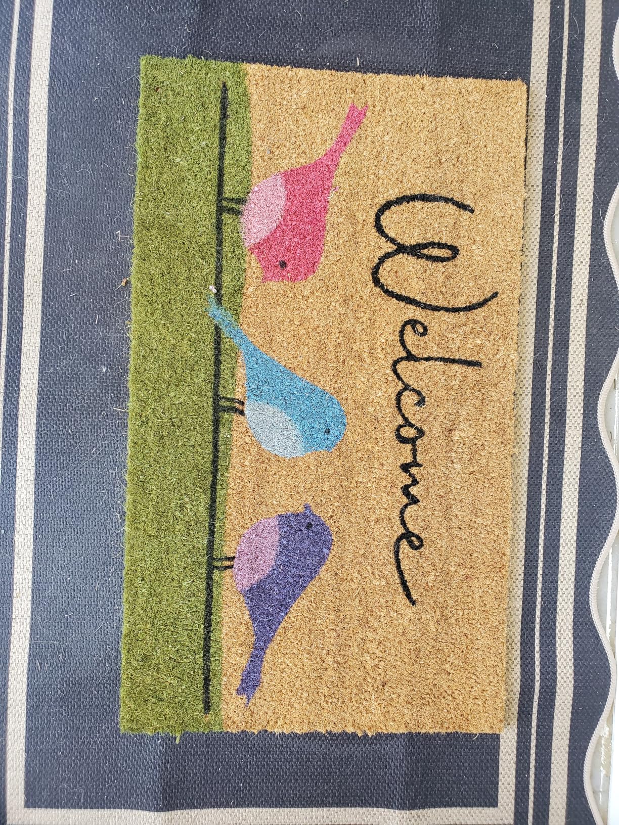 Coir Welcome Mat, Non-Slip, Colorful Birds, 17 x 29 in | 100% Natural Coir, Anti-Shedding, Durable PVC Backing, Traps Dirt and Mud, Indoor and Outdoor Entryway, Easy to Clean customer photo 1
