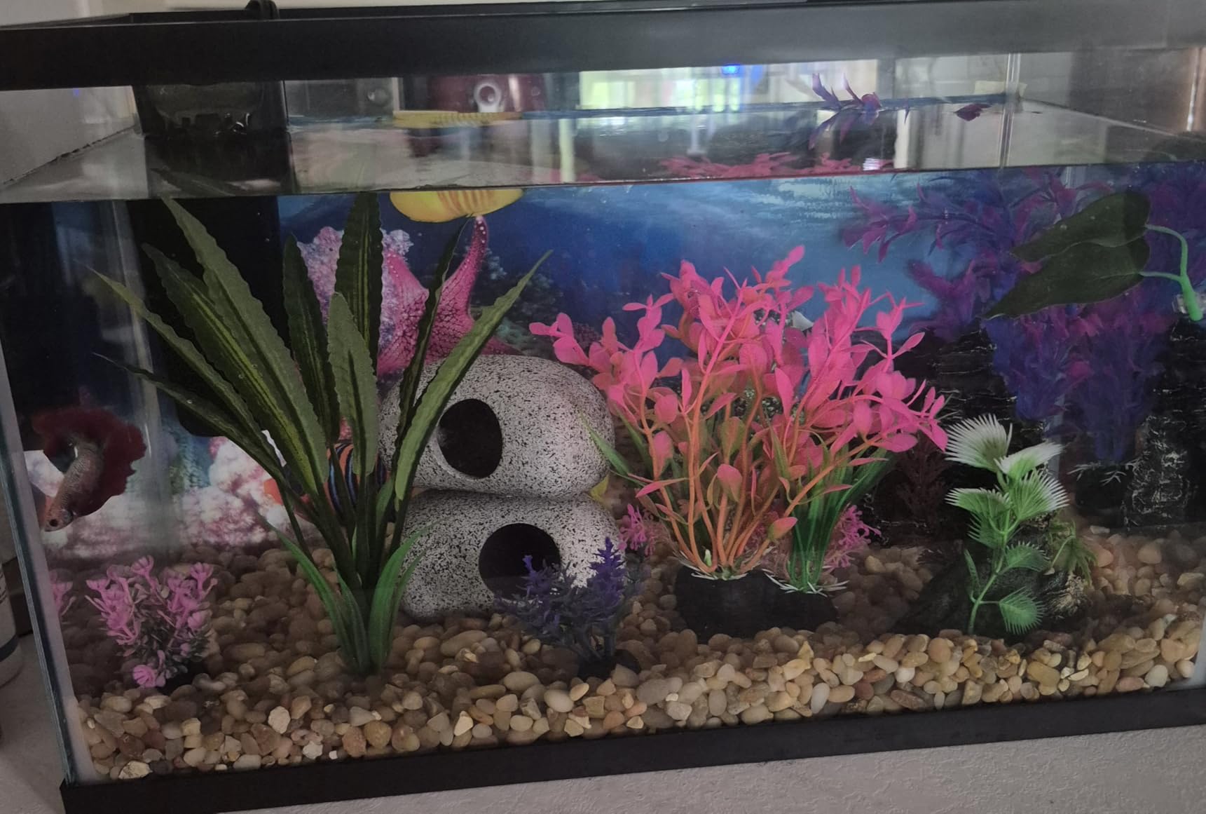 Ameliade Aquarium Artificial Plants & Rock Cave Betta Fish Tank Decor Set customer photo 1