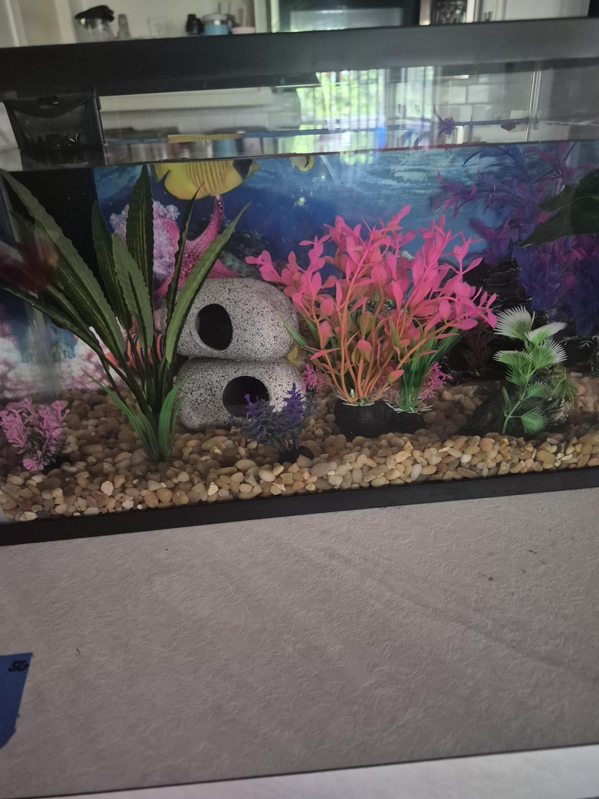 Ameliade Aquarium Artificial Plants & Rock Cave Betta Fish Tank Decor Set customer photo 2