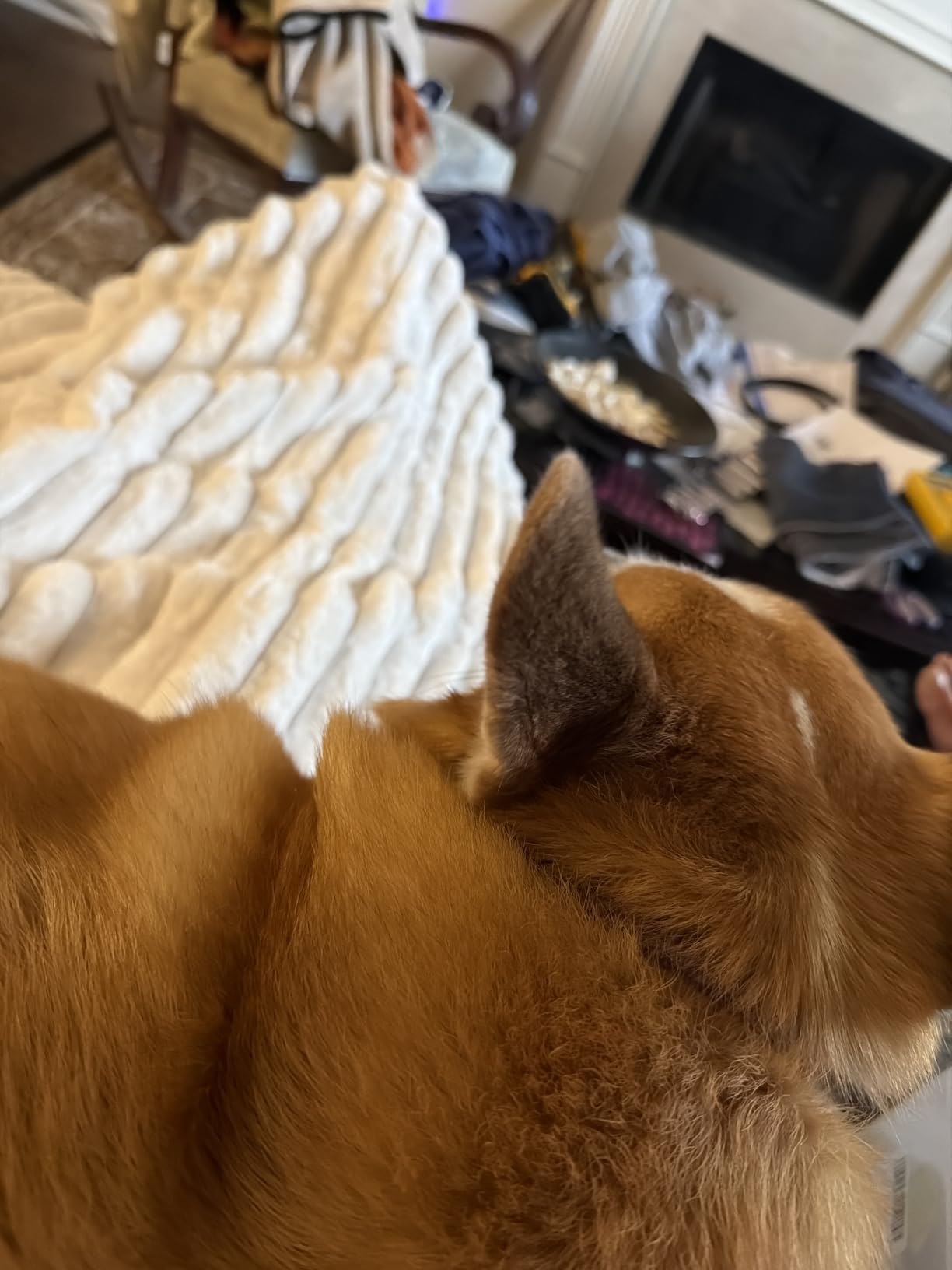 Amélie Home Faux Fur Throw Blanket for Couch, Cozy Fuzzy Fluffy Fur Luxurious Soft Striped Plush Gift Blankets for Family Sofa Chair Bedroom, 55