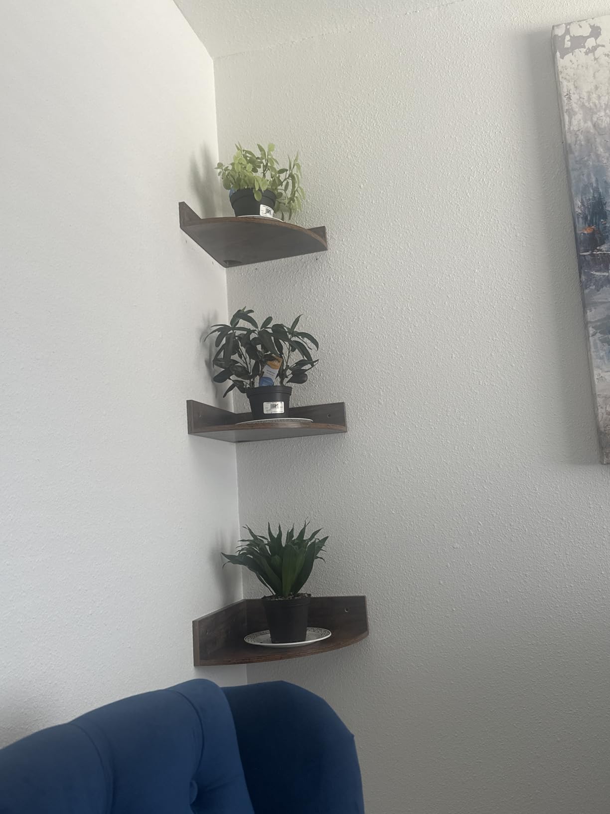 Homode Corner Shelf Wall Mount, Set of 3 Floating Corner Shelves with Cord Hole, 3 Tier Wood Wall Display Shelf, Storage for Bathroom Living Room Kitchen Bedroom, Rustic Brown and Black customer photo 2