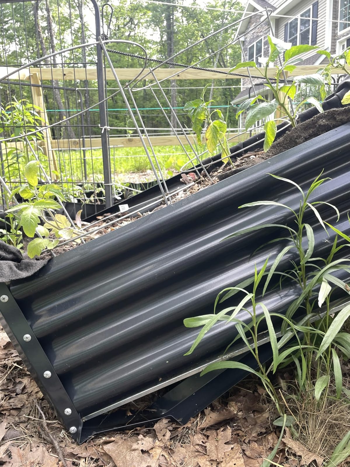 Land Guard Galvanized Raised Garden Bed with Legs, 48x24x32in Large Metal Elevated Raised Planter Box with Drainage Holes for Backyard, Patio, Balcony, 700lb Capacity customer photo 1