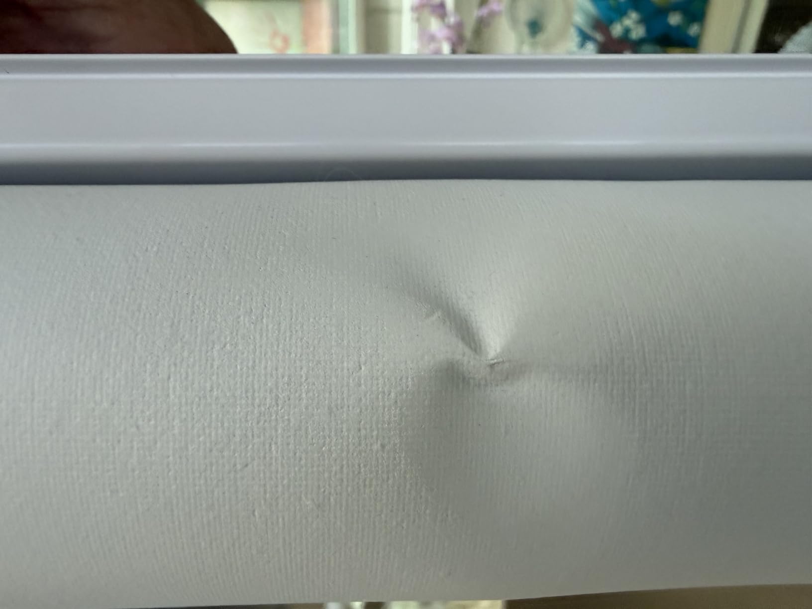 AOSKY Blackout Cordless Roller Shade for Indoor Windows, 23