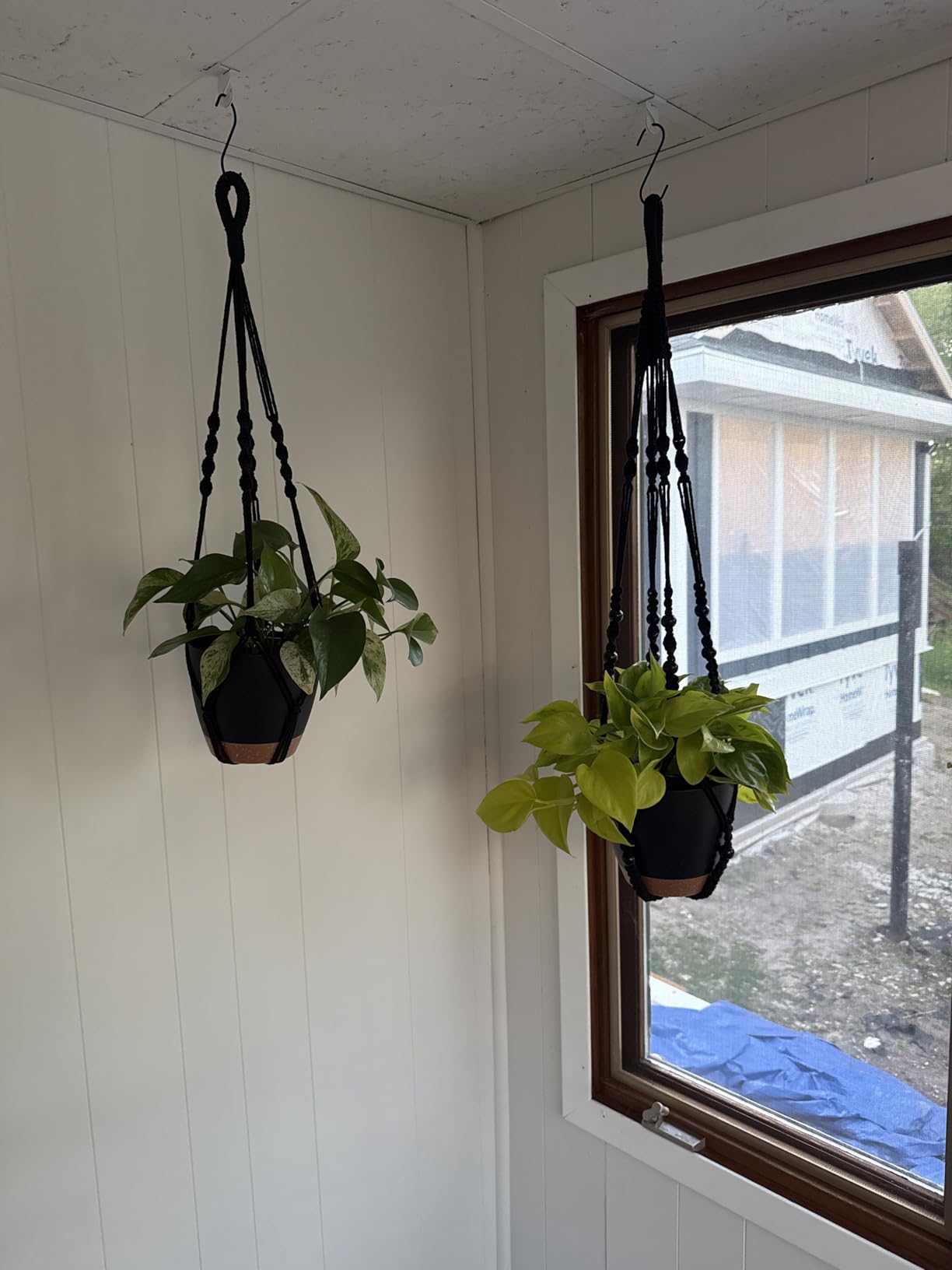 Bouqlife 3 Set Self Watering Hanging Planters for Indoor Plants | 7/6/5.5 Inch Pots with Macrame Plant Hangers, Drainage Reservoirs and Hooks, Hanging Plant Holders, White customer photo 1