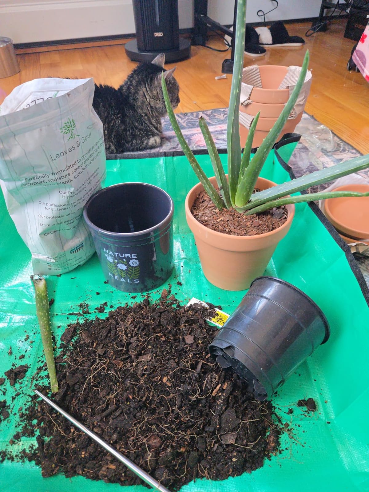Repotting Mat for Indoor Plant Transplanting Control Mess, 26.8
