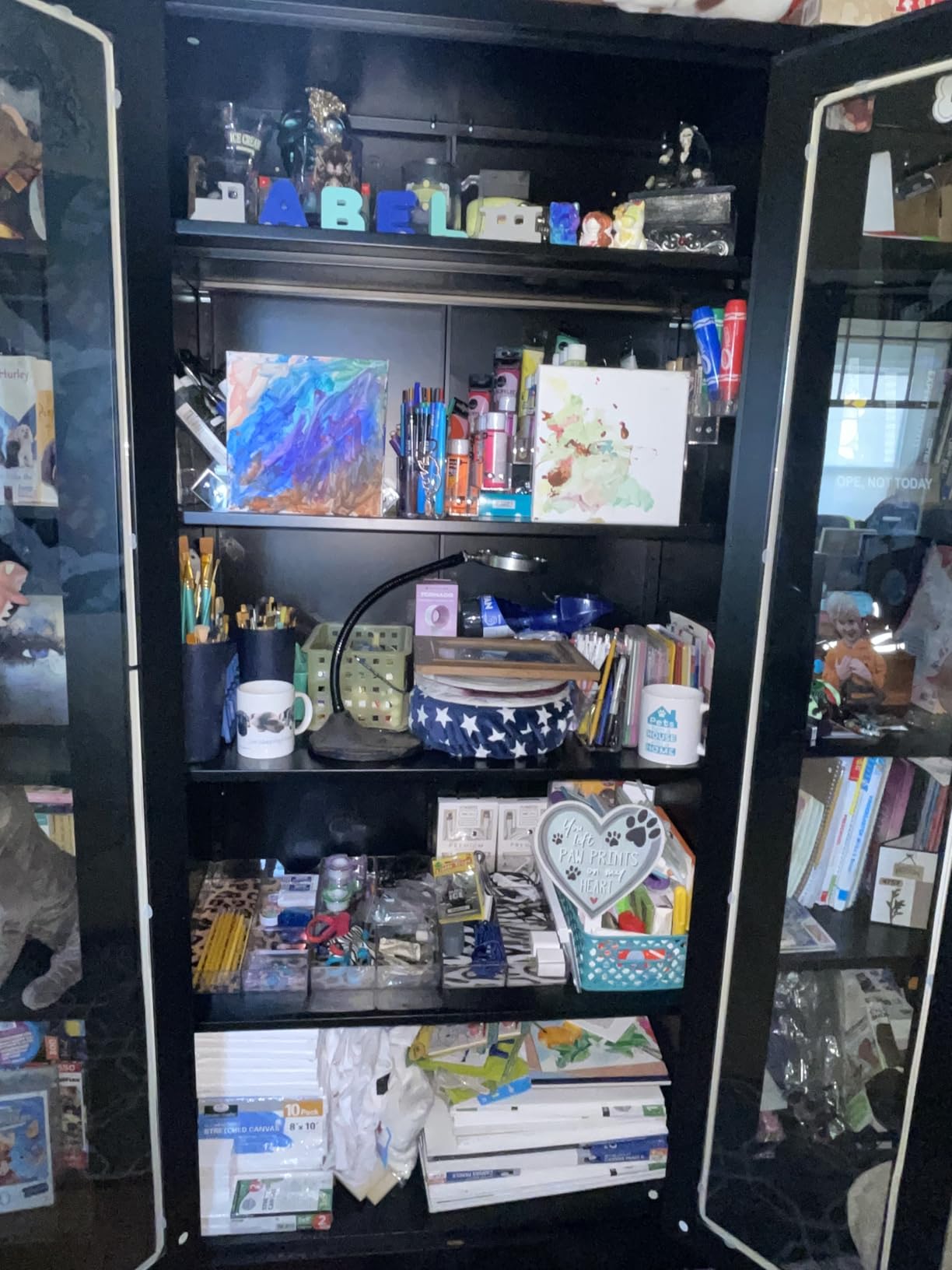 PEUKC Display Cabinet with Glass Doors, 71 Inches Metal Display Case with 4 Adjustable Shelves, Curio Storage Cabinet with Lock for Home, Office, Book, Pantry, Assemble Required (Black) customer photo 1