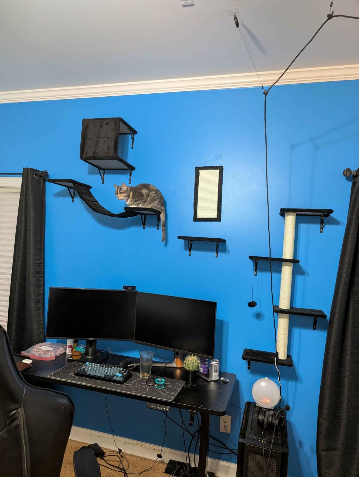 Modern Wall-Mounted Cat Furniture - 5pcs Cat Wall Shelves, Wooden Climber Includes House, Bridge, Tree, Steps, and Scratcher (Black) customer photo 2