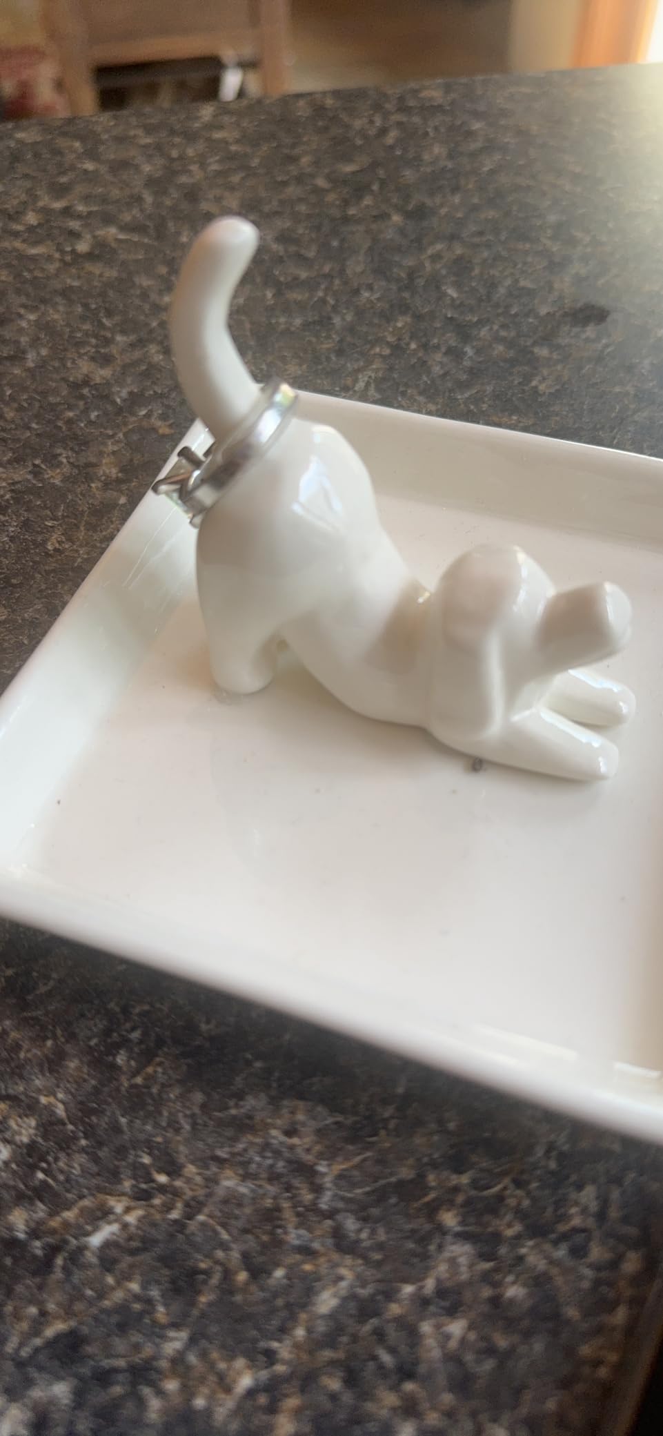 PUDDING CABIN Dog Mom Gifts for Women, Dog Ring Holder Dish Jewelry Holder, Dogs Lover Gift for Women Friends Female Mom Grandma Aunt as Mothers Day Birthday Wedding Christmas Gift customer photo 1