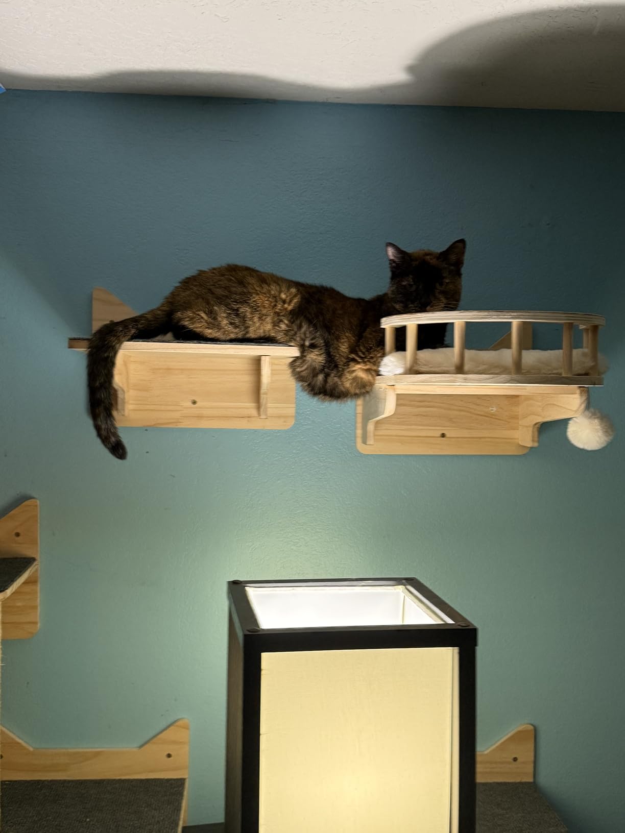 Cat Wall Shelves for Large Cats, 9PCS Solid Pine Cat Wall Furniture Set with House, Ladder Steps & Sisal Scratching Posts, Sturdy Mounted Climbing Shelves for Indoor Cats customer photo 2