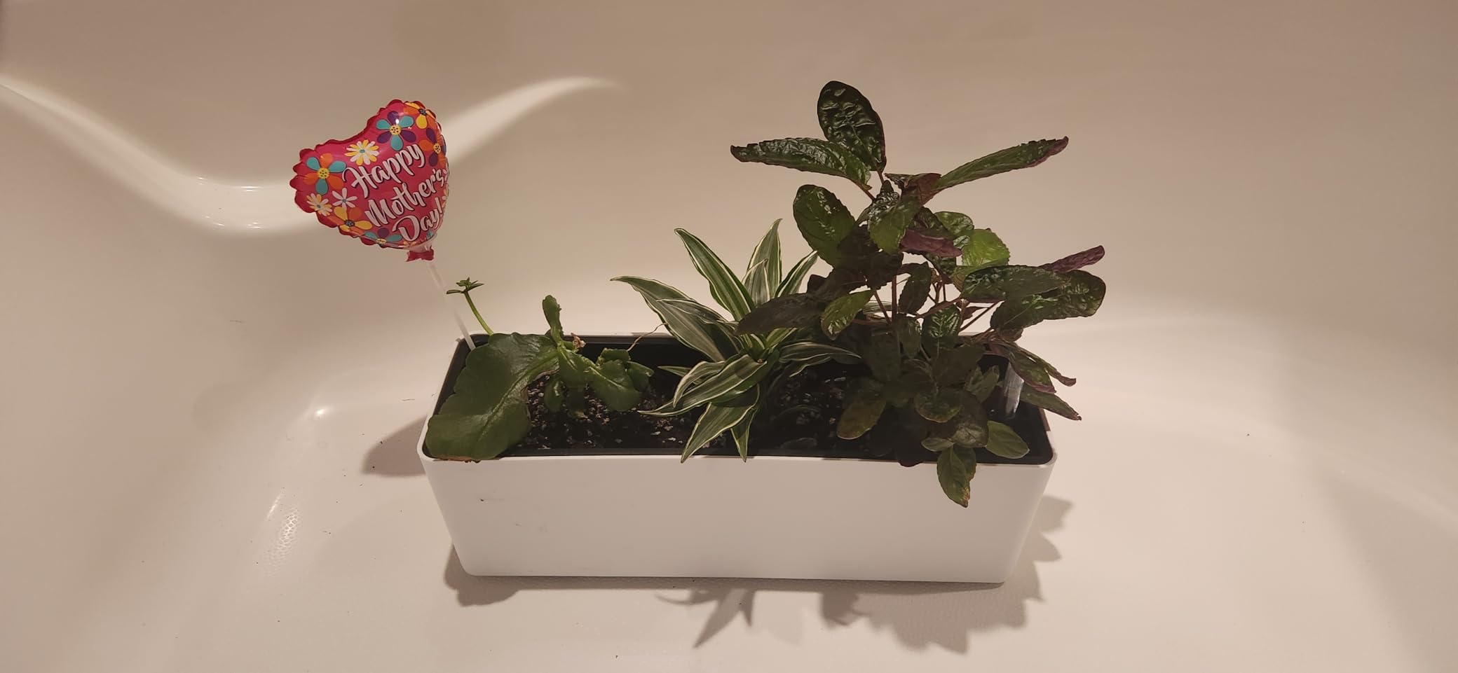 Elongated Self Watering Planter Pots 2-Pack Window Box 5.5 x 16 inch Indoor Home Garden Modern Decorative Planter Pot for All House Plants Flowers Herbs (White,2) customer photo 1